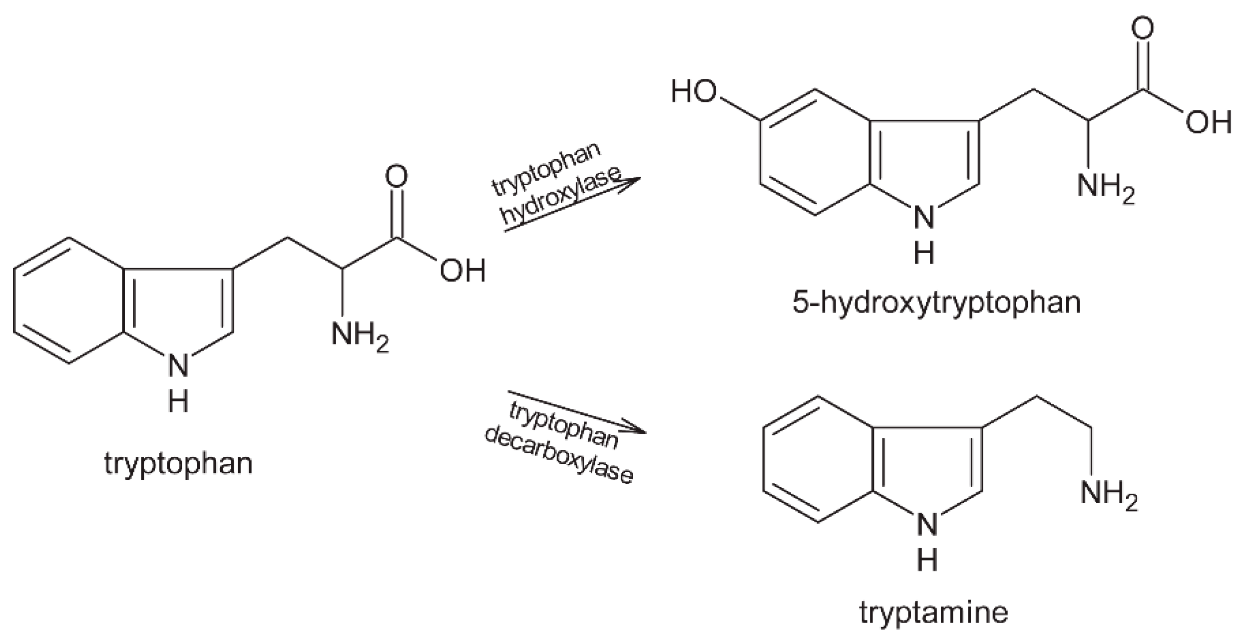 Molecules 24 03163 g001