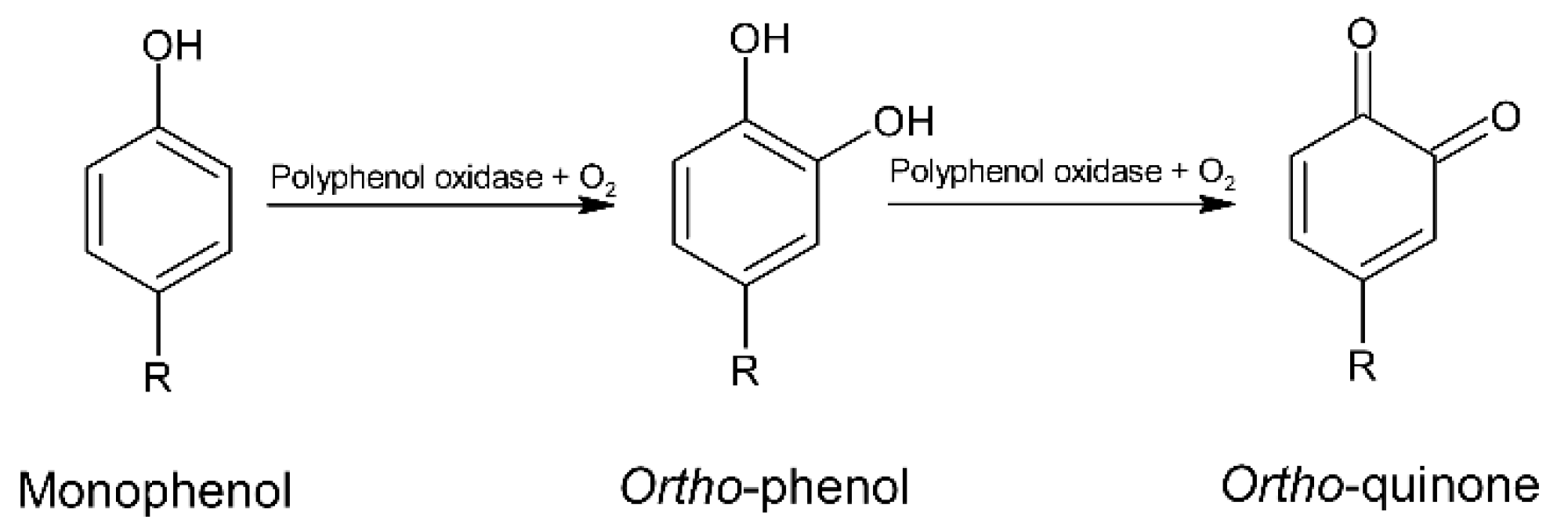 Molecules 24 03163 g005