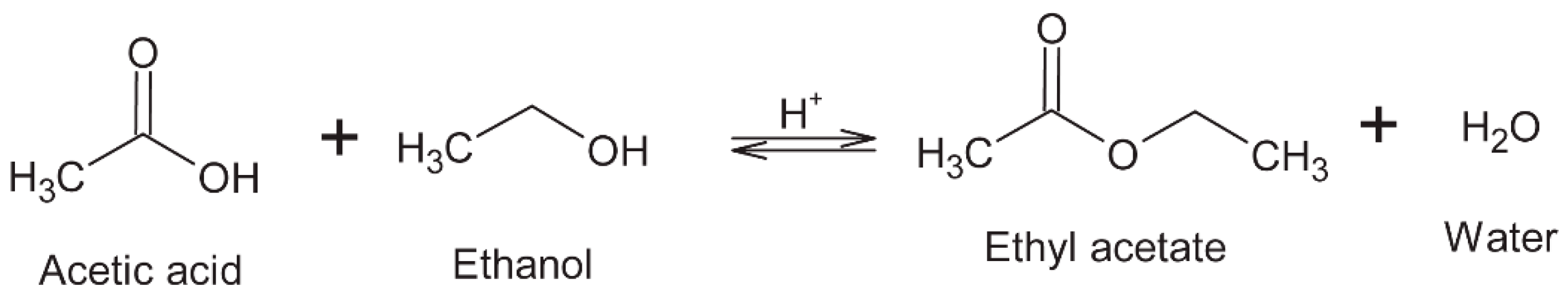 Molecules 24 03163 g008