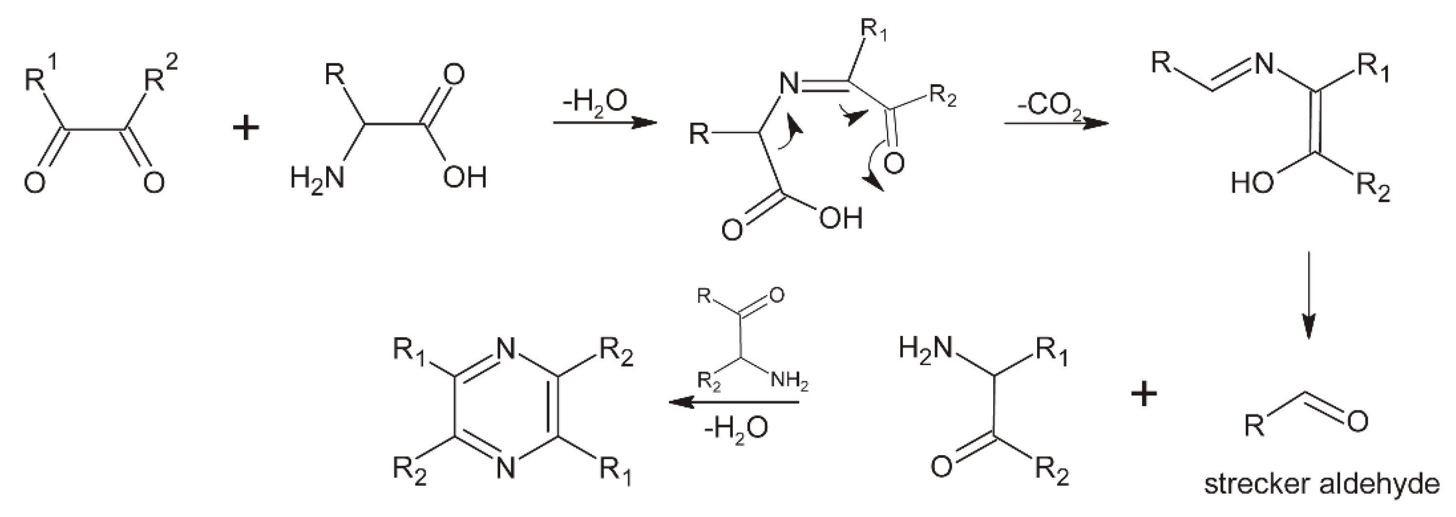 Molecules 24 03163 g009