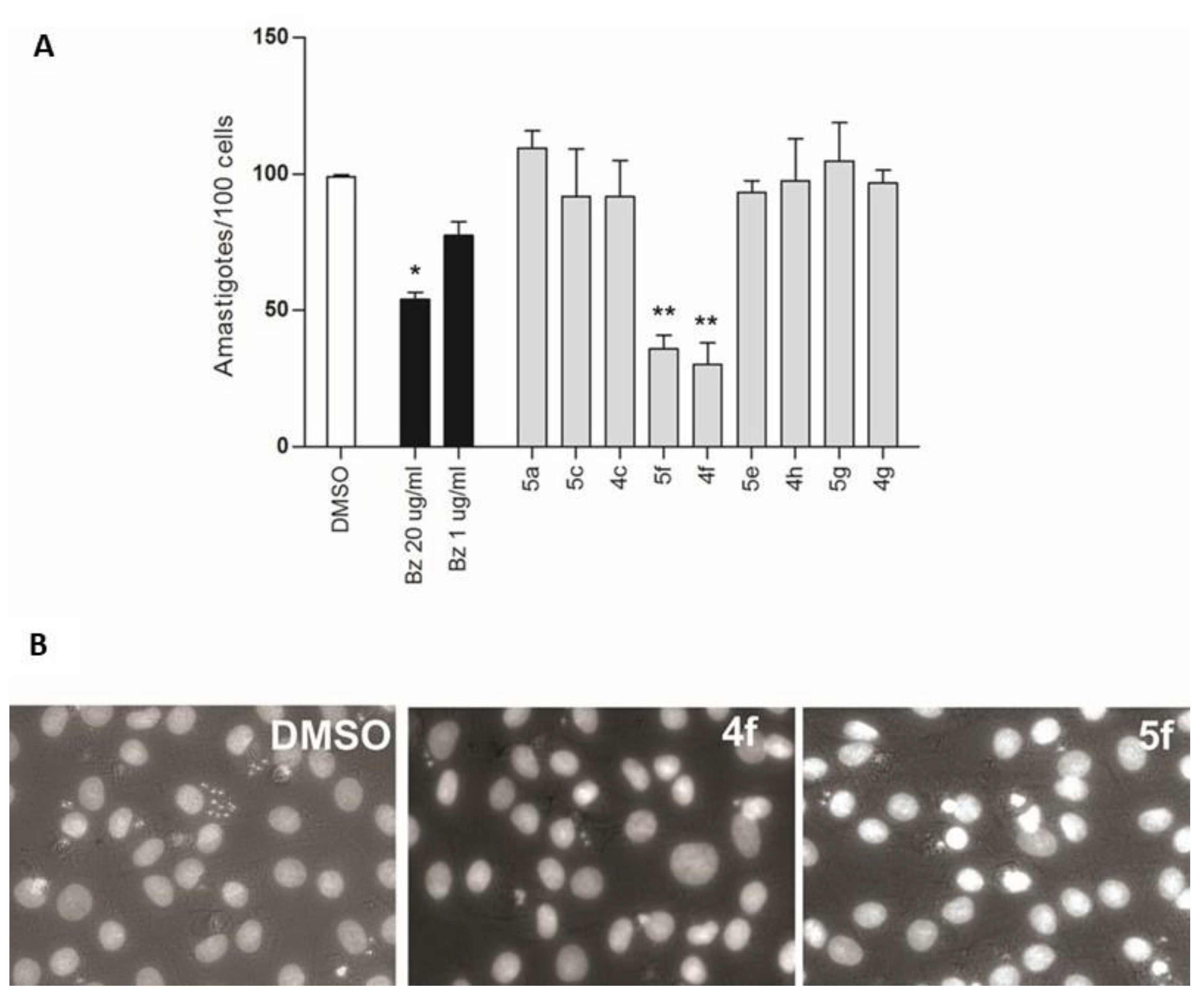 Molecules 24 03168 g001