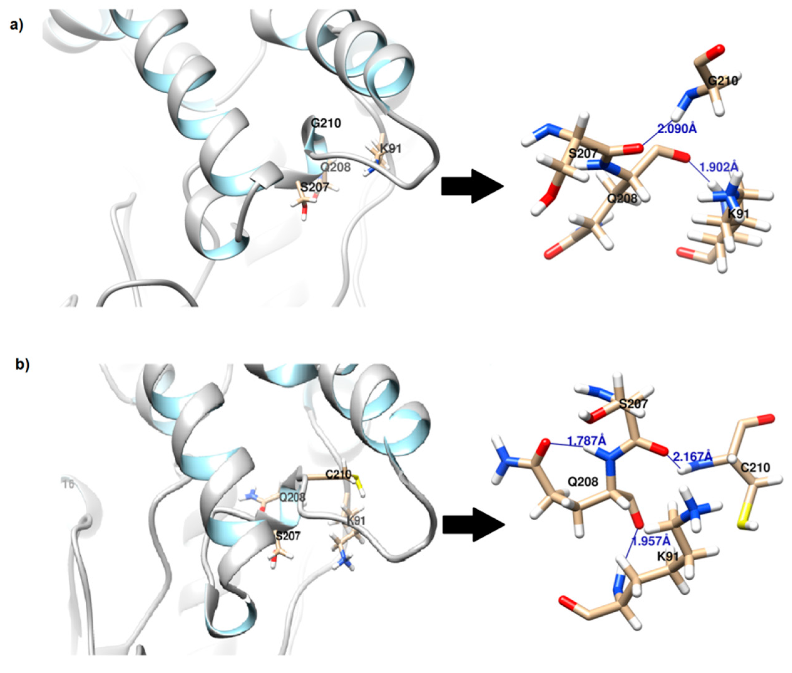 Molecules 24 03169 g002