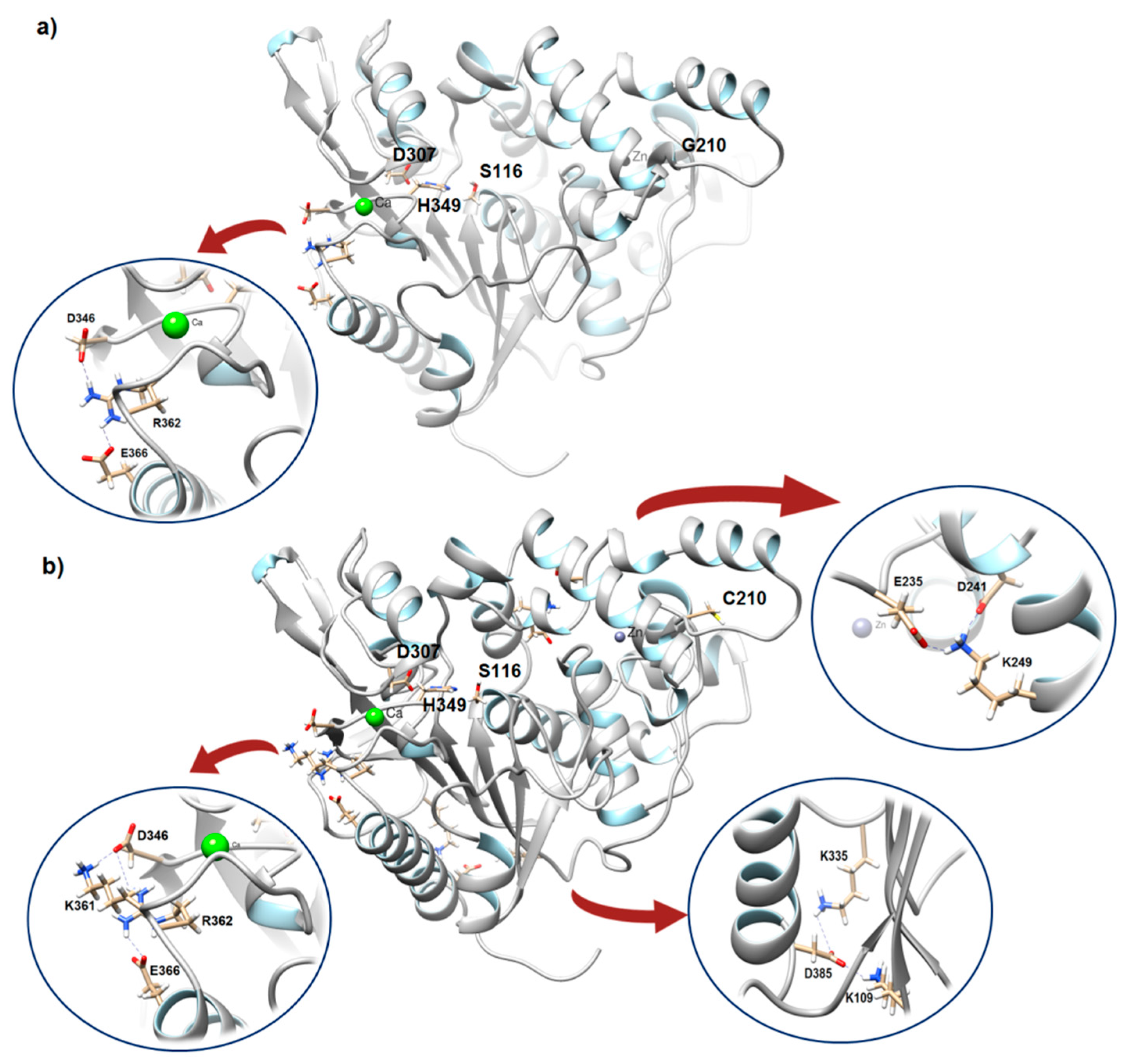 Molecules 24 03169 g003