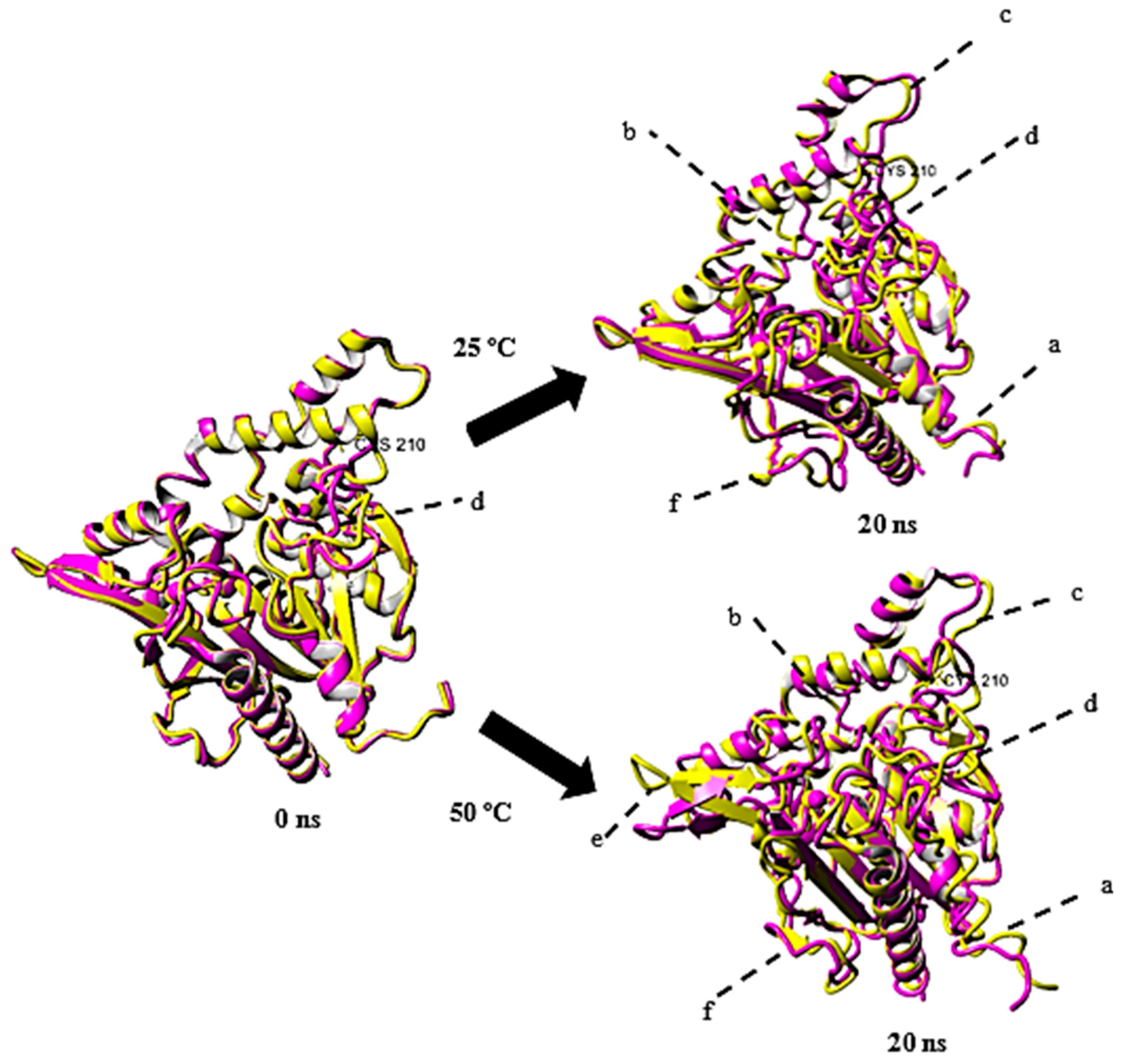 Molecules 24 03169 g007