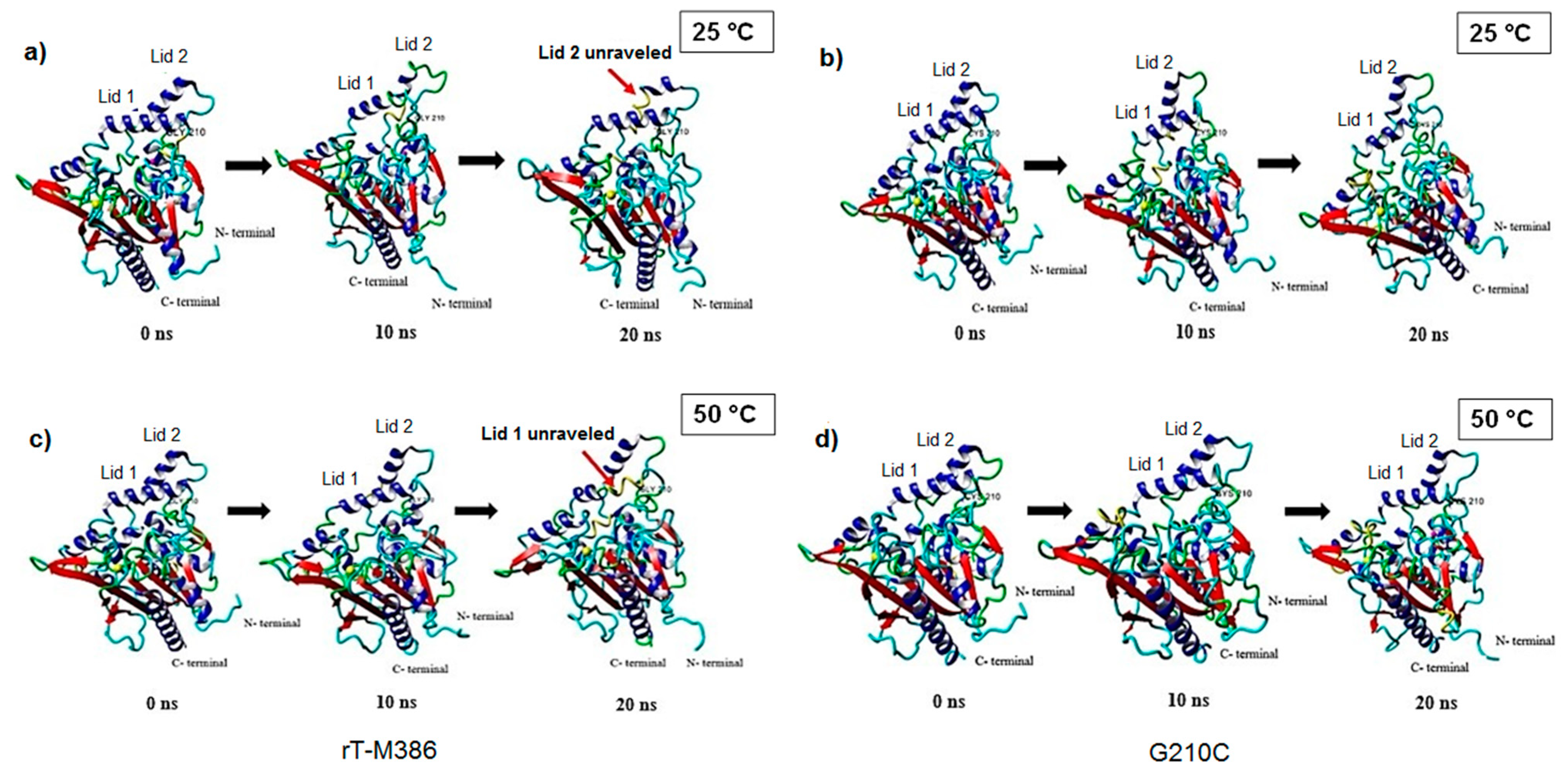 Molecules 24 03169 g008