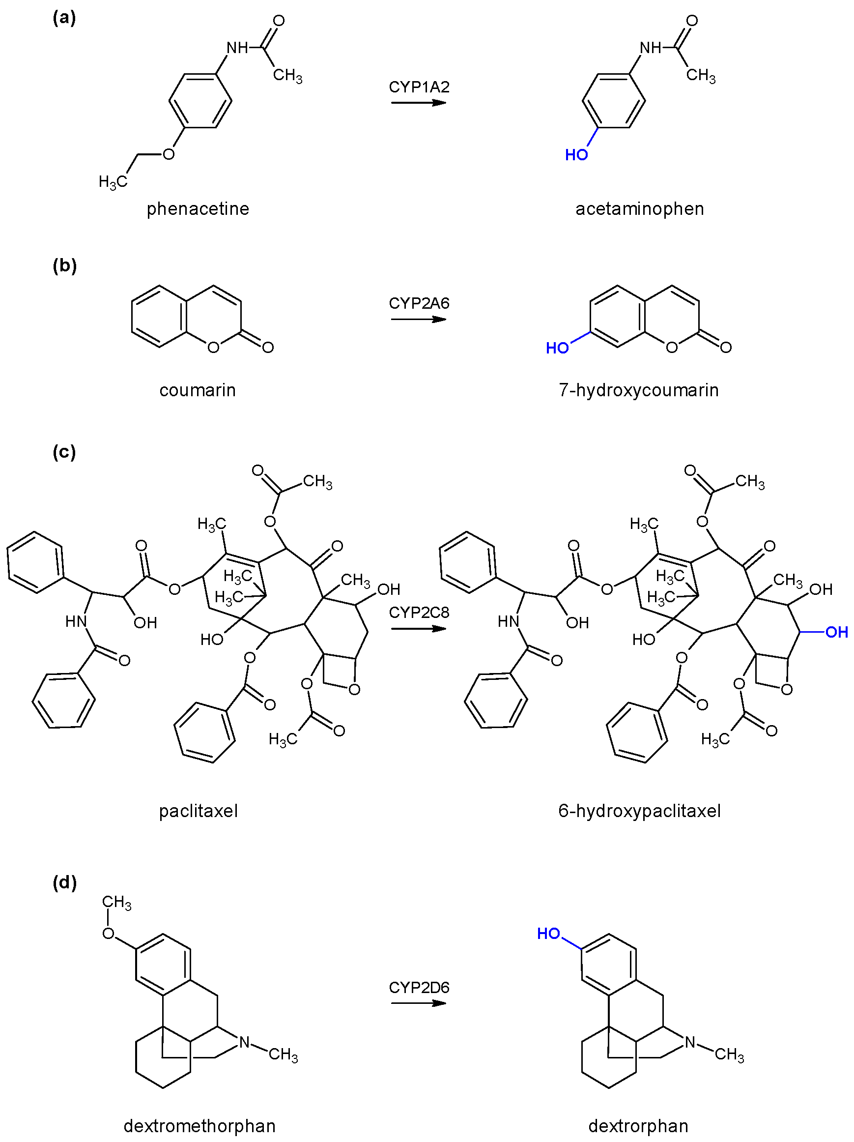Molecules 24 03174 g002 Molecules 24 03174 g002