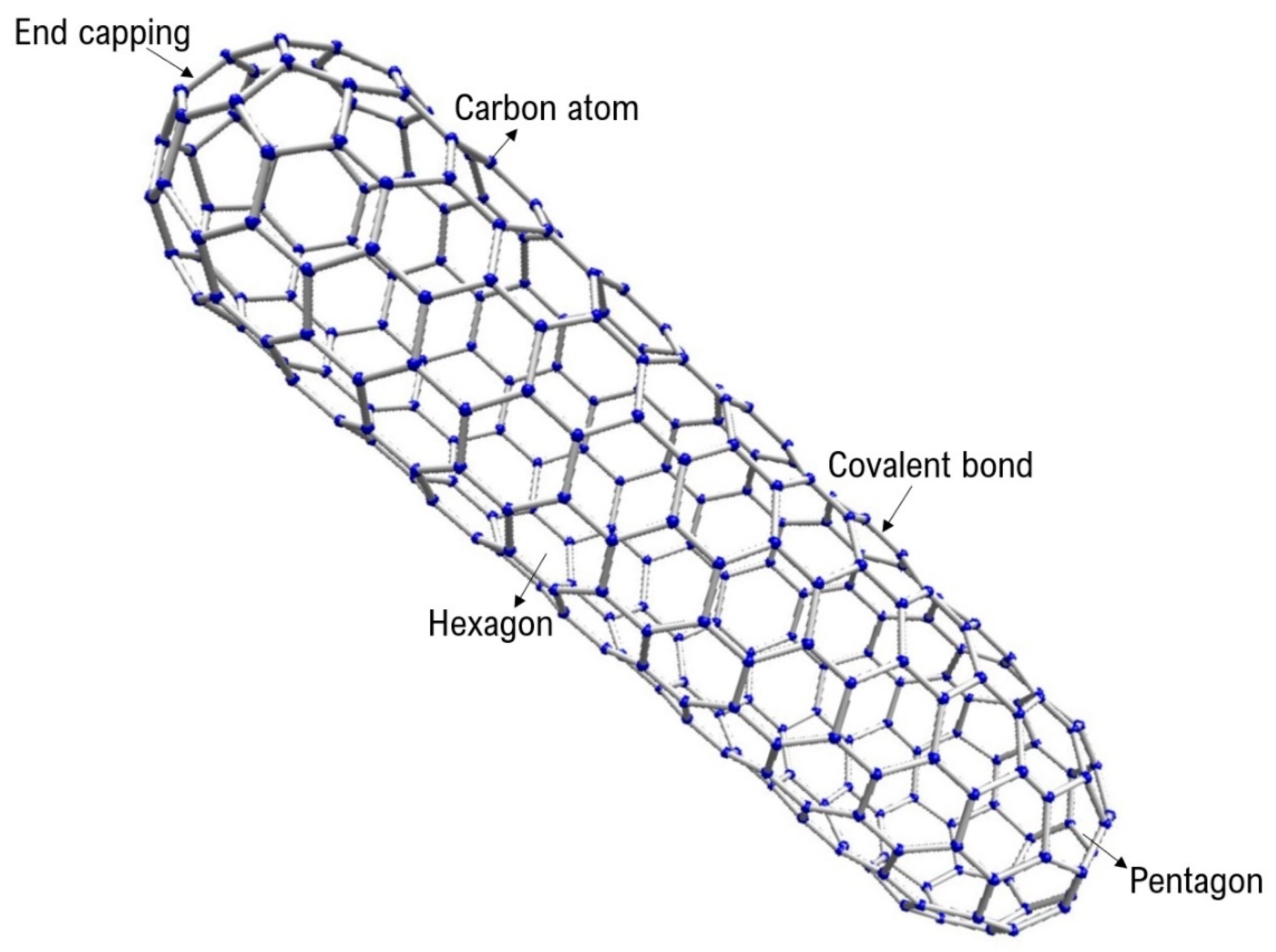 Molecules 24 03176 g001