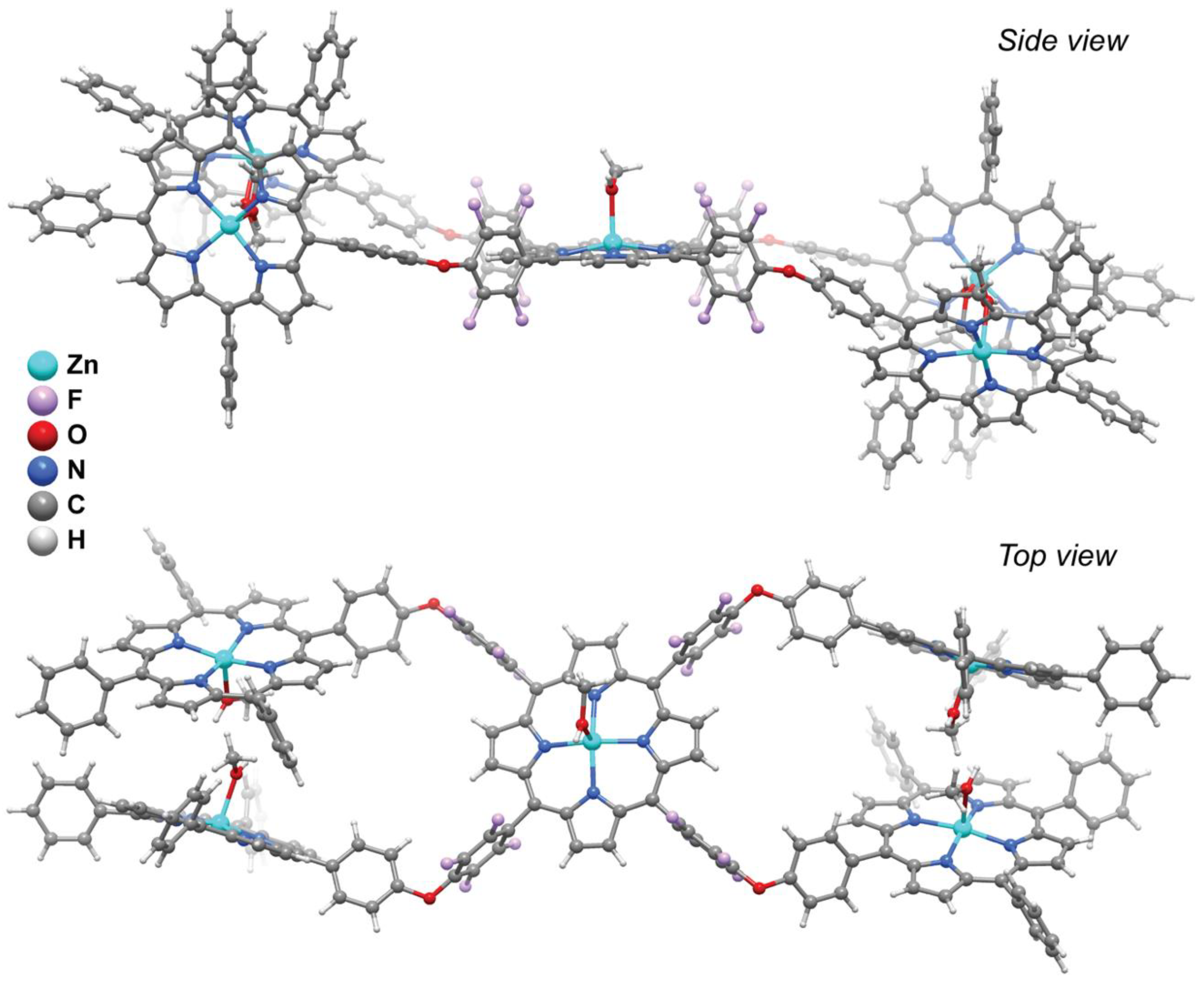 Molecules 24 03177 g003