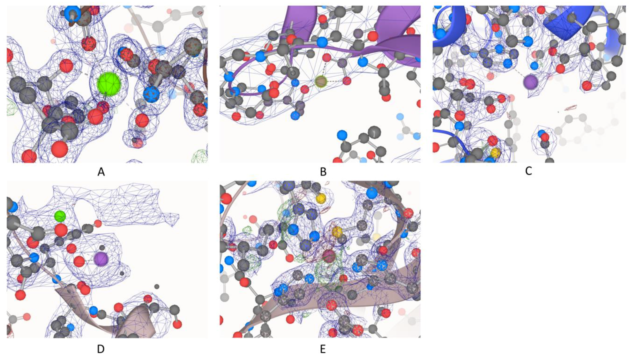 Molecules 24 03179 g001