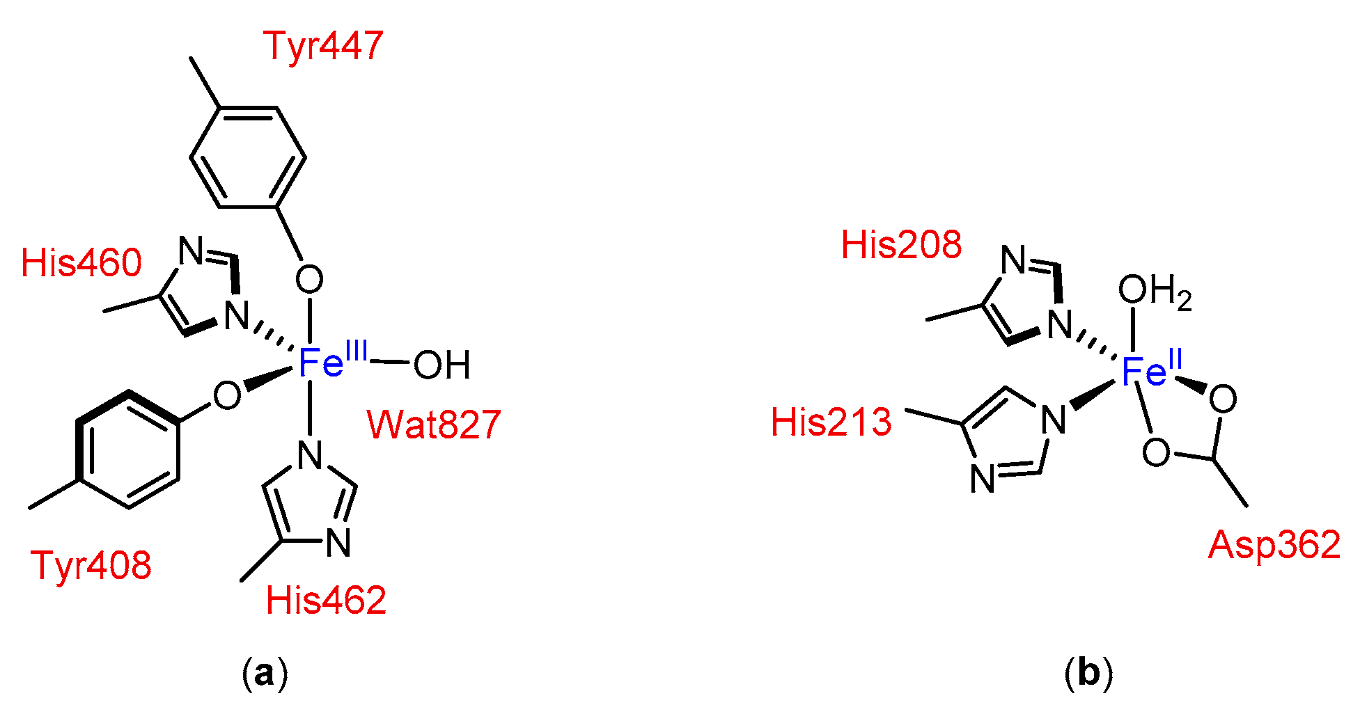 Molecules 24 03182 g001