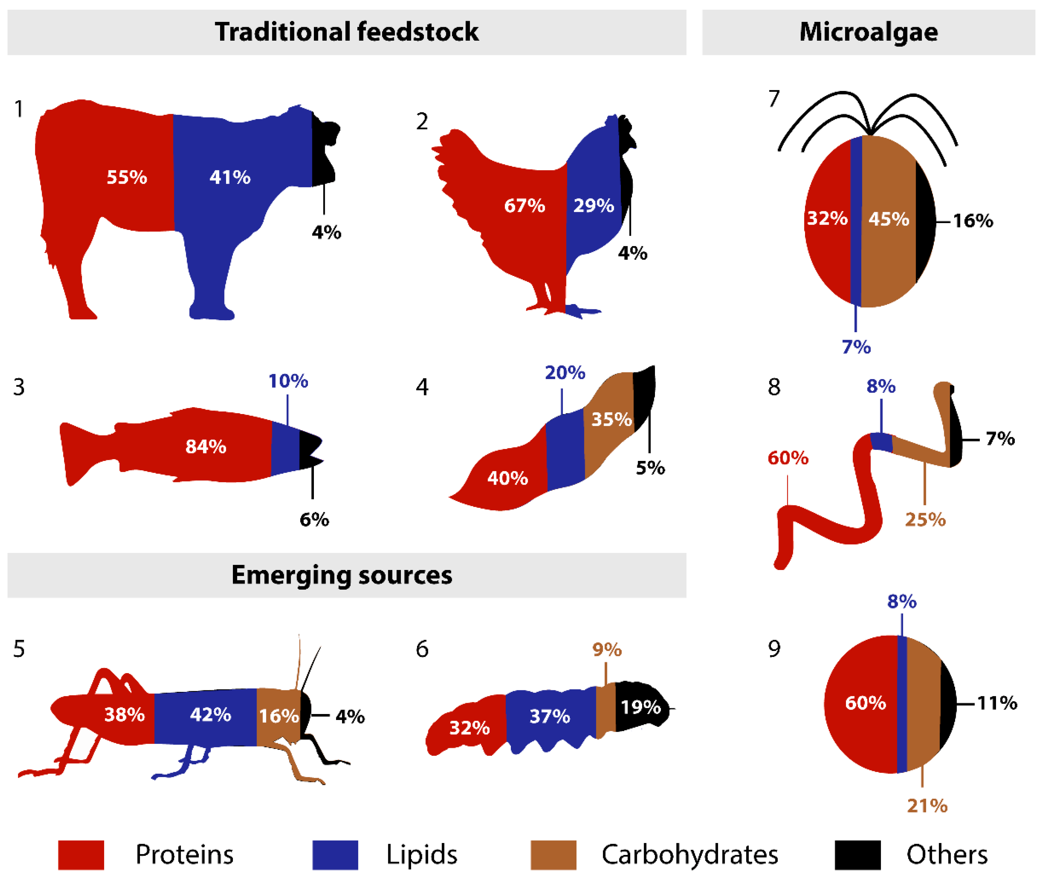 Molecules 24 03192 g001