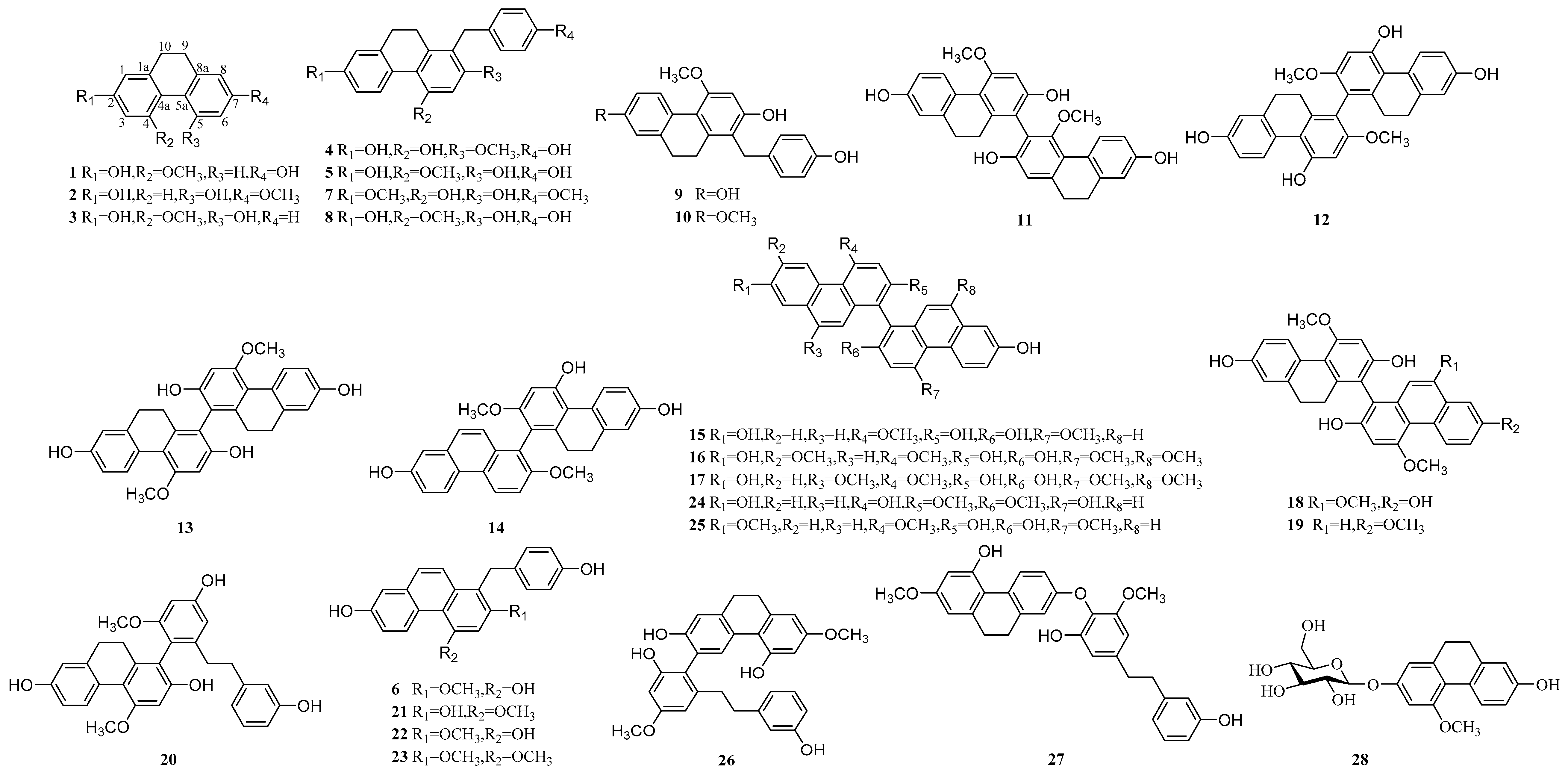 Molecules 24 03195 g001a