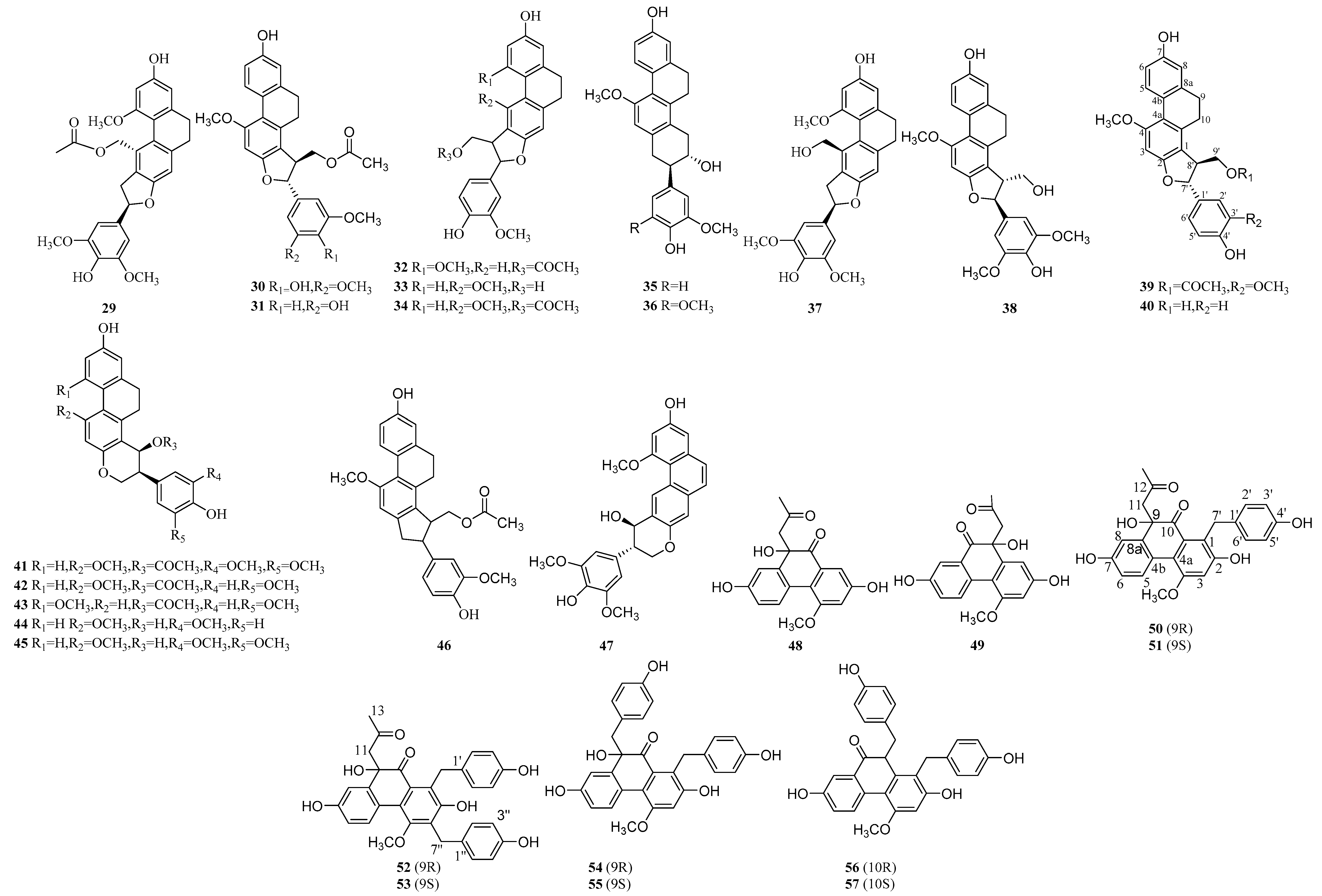 Molecules 24 03195 g001b