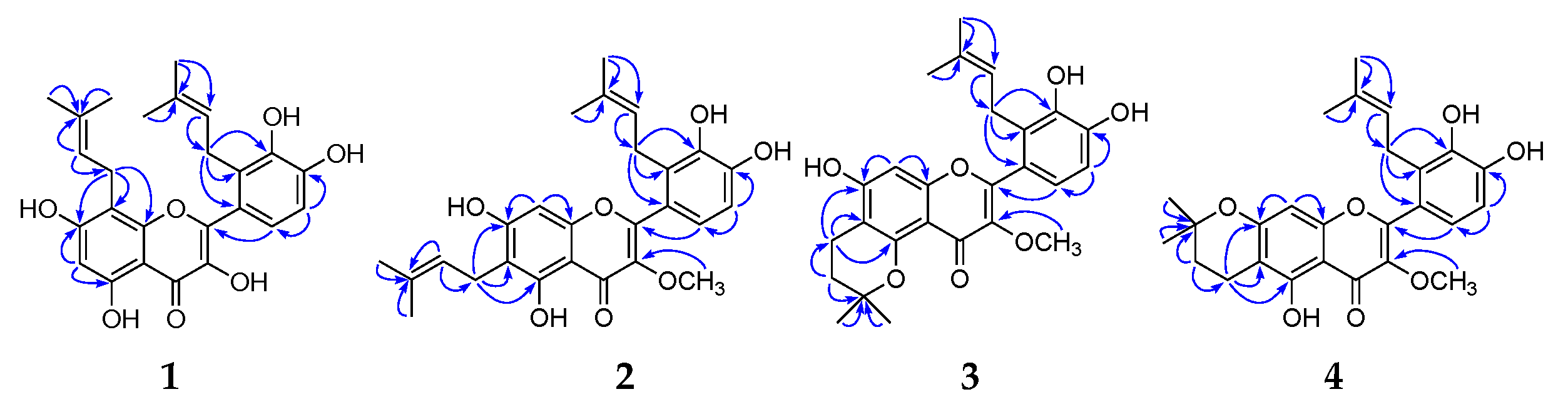 Molecules 24 03196 g002a