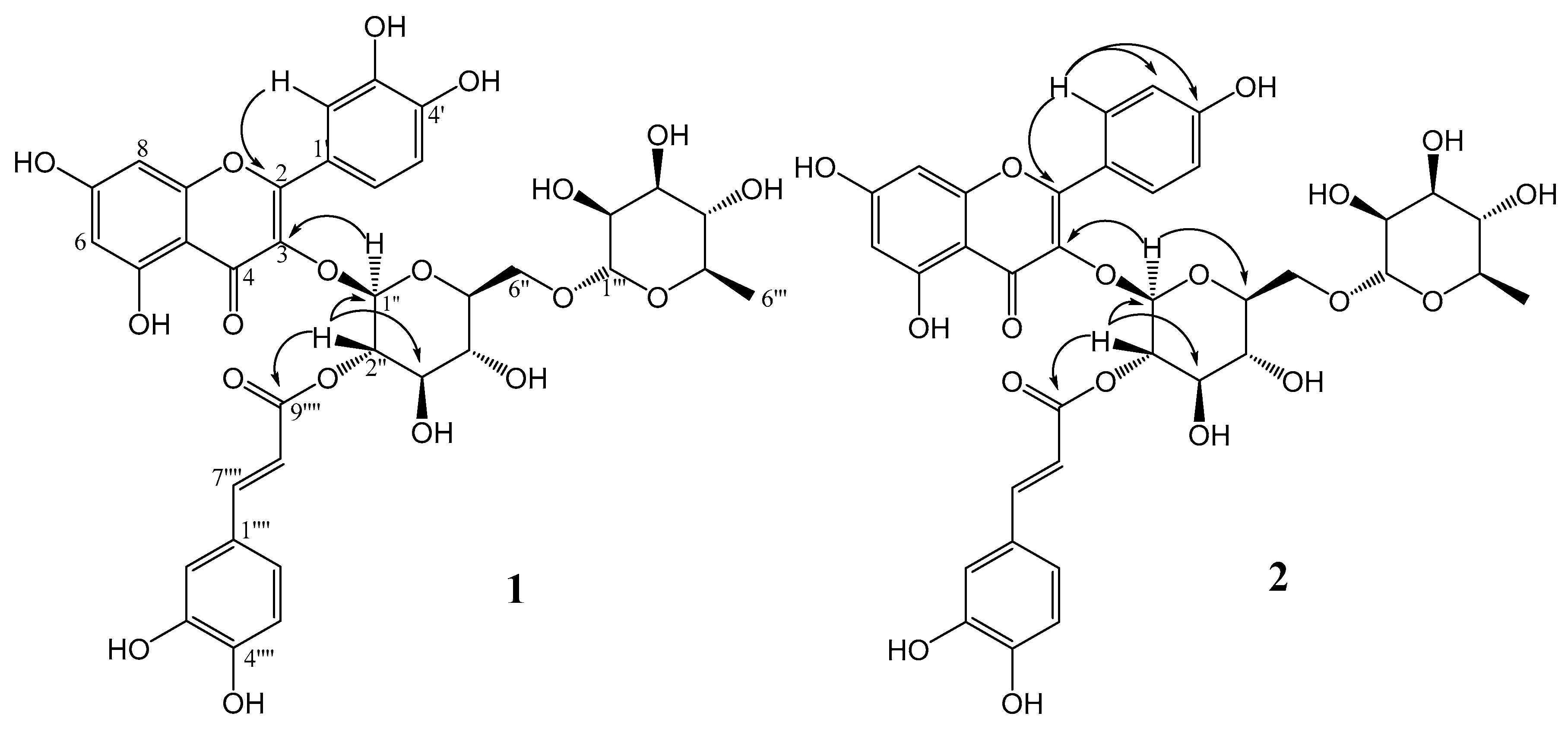 Molecules 24 03198 g002