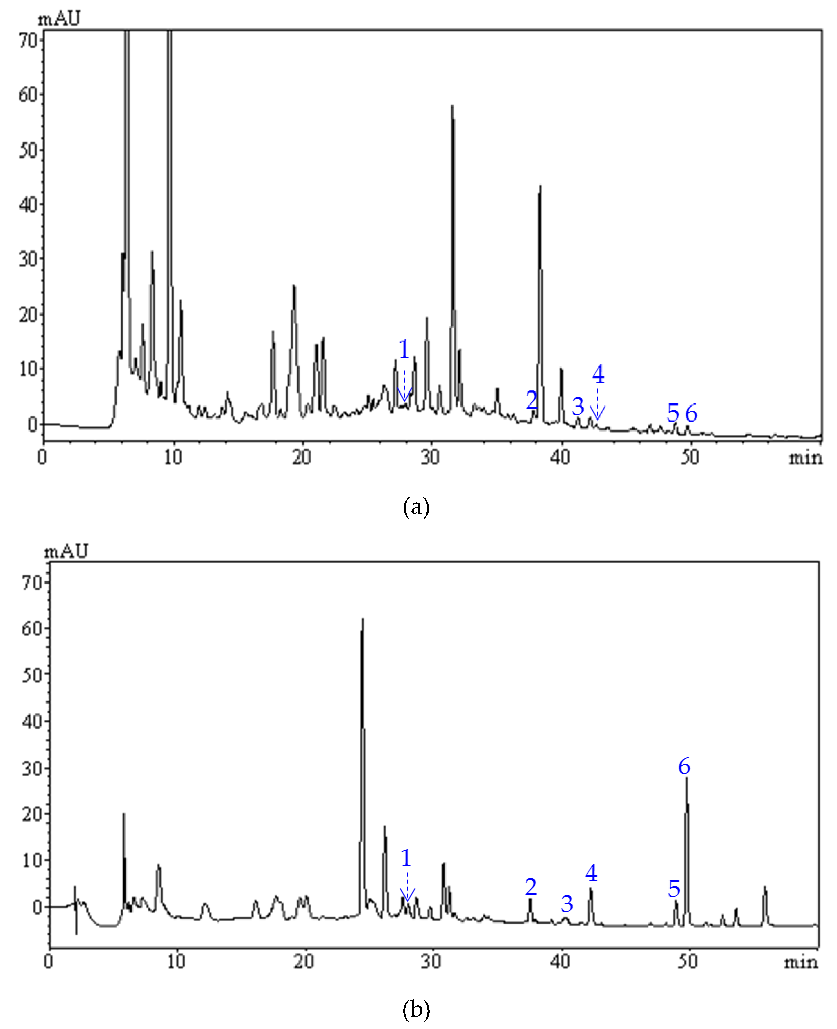 Molecules 24 03200 g008 Molecules 24 03200 g008