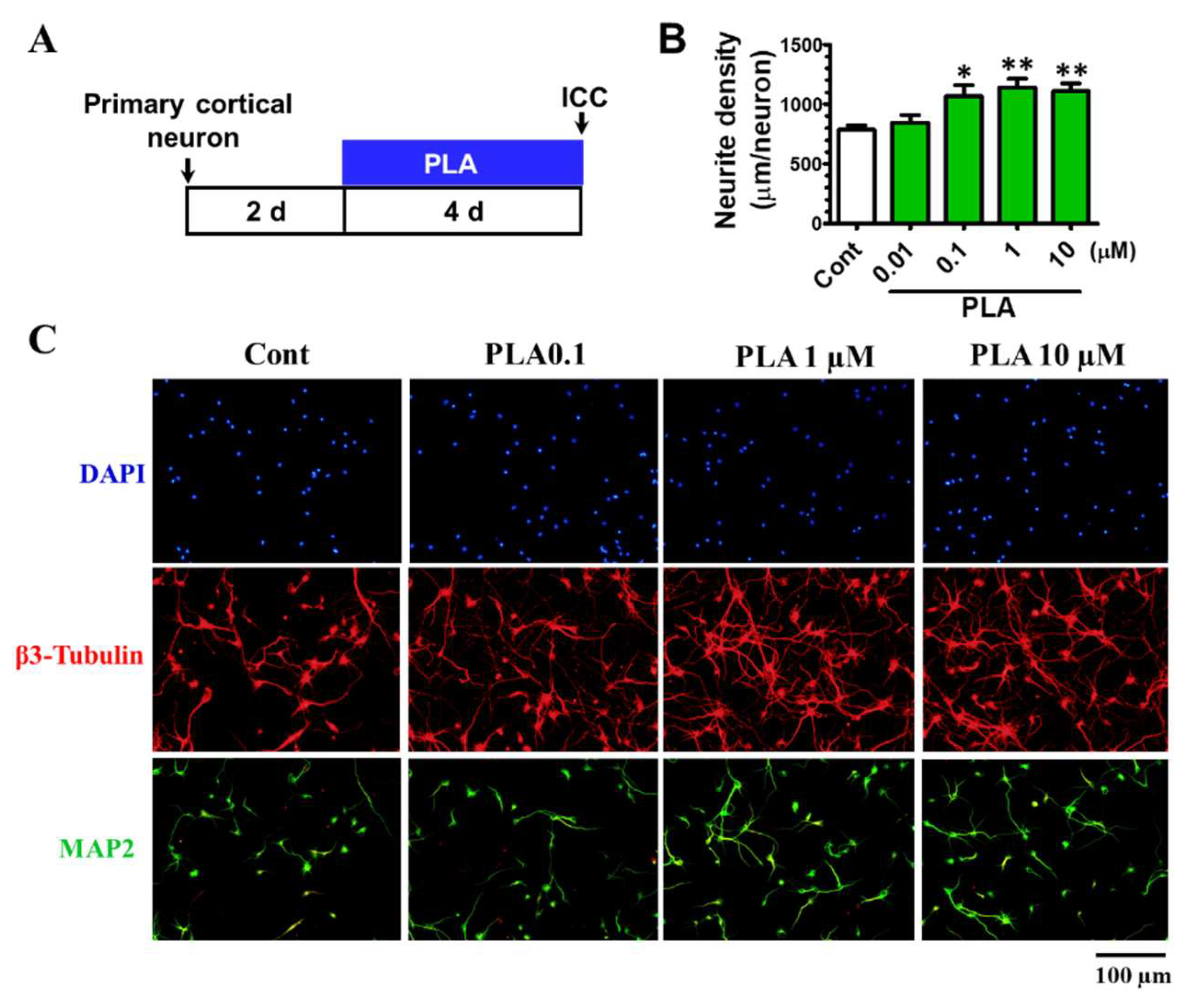Molecules 24 03207 g007