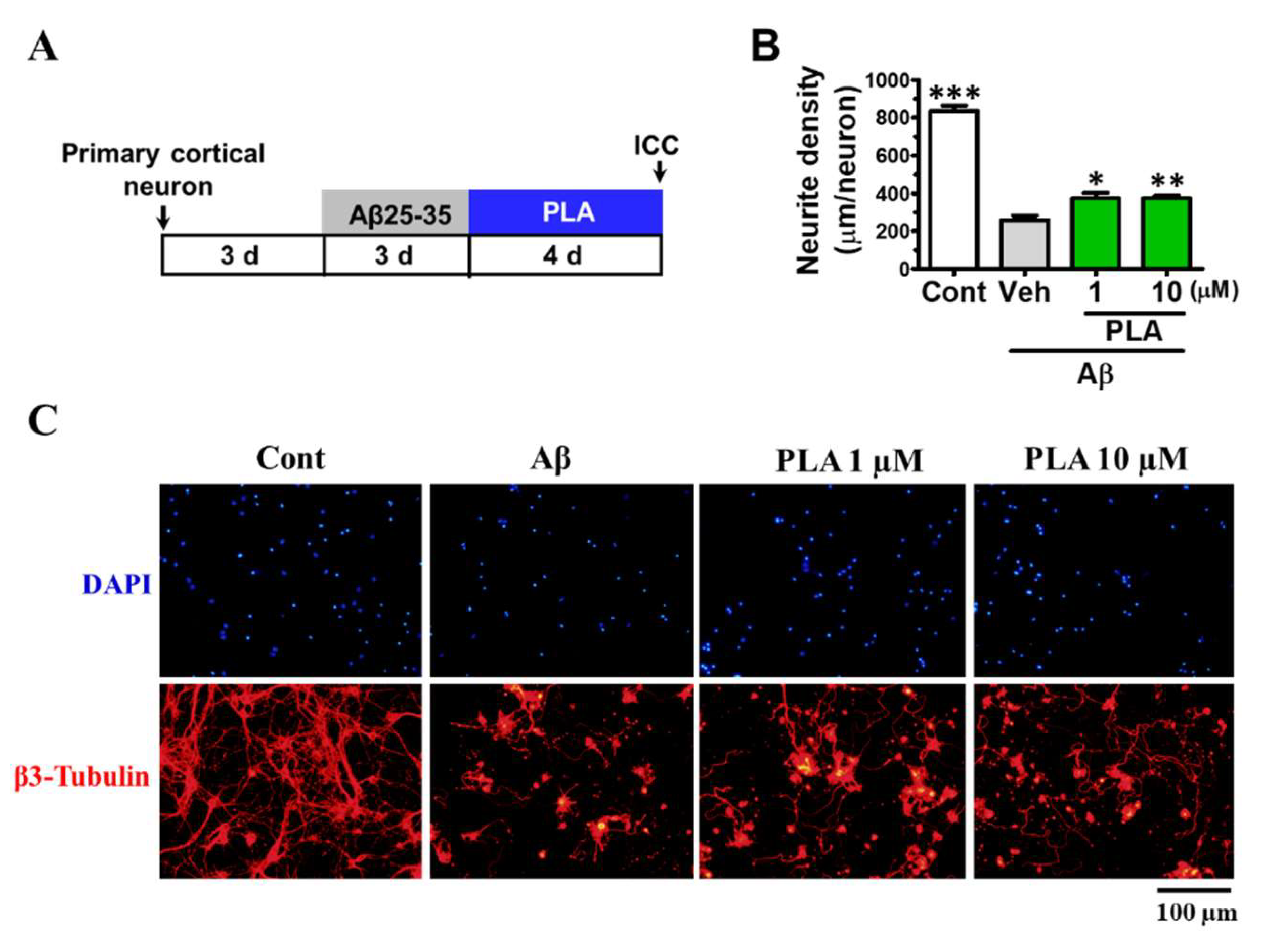 Molecules 24 03207 g008