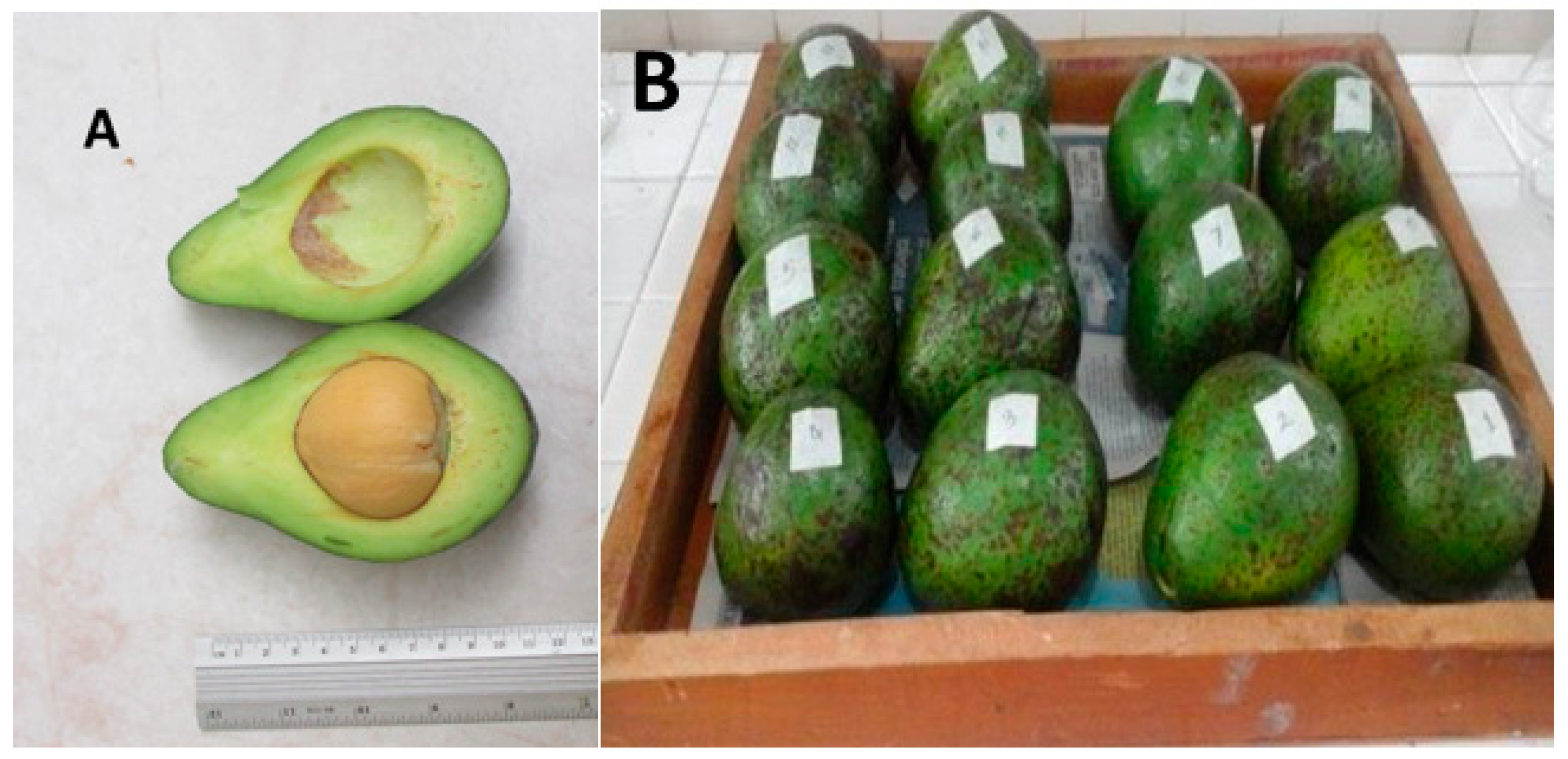 Molecules 24 03209 g001