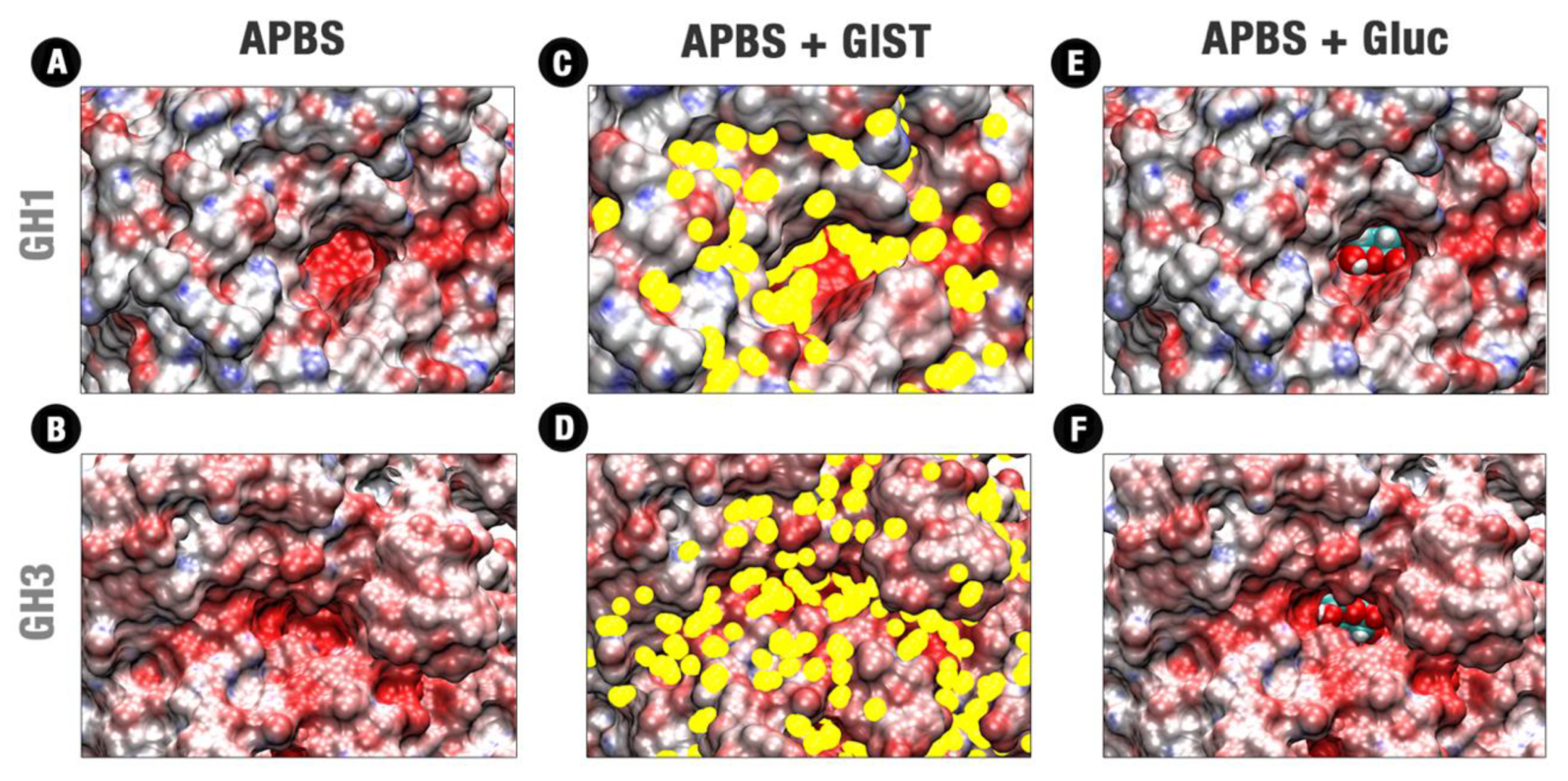 Molecules 24 03215 g004