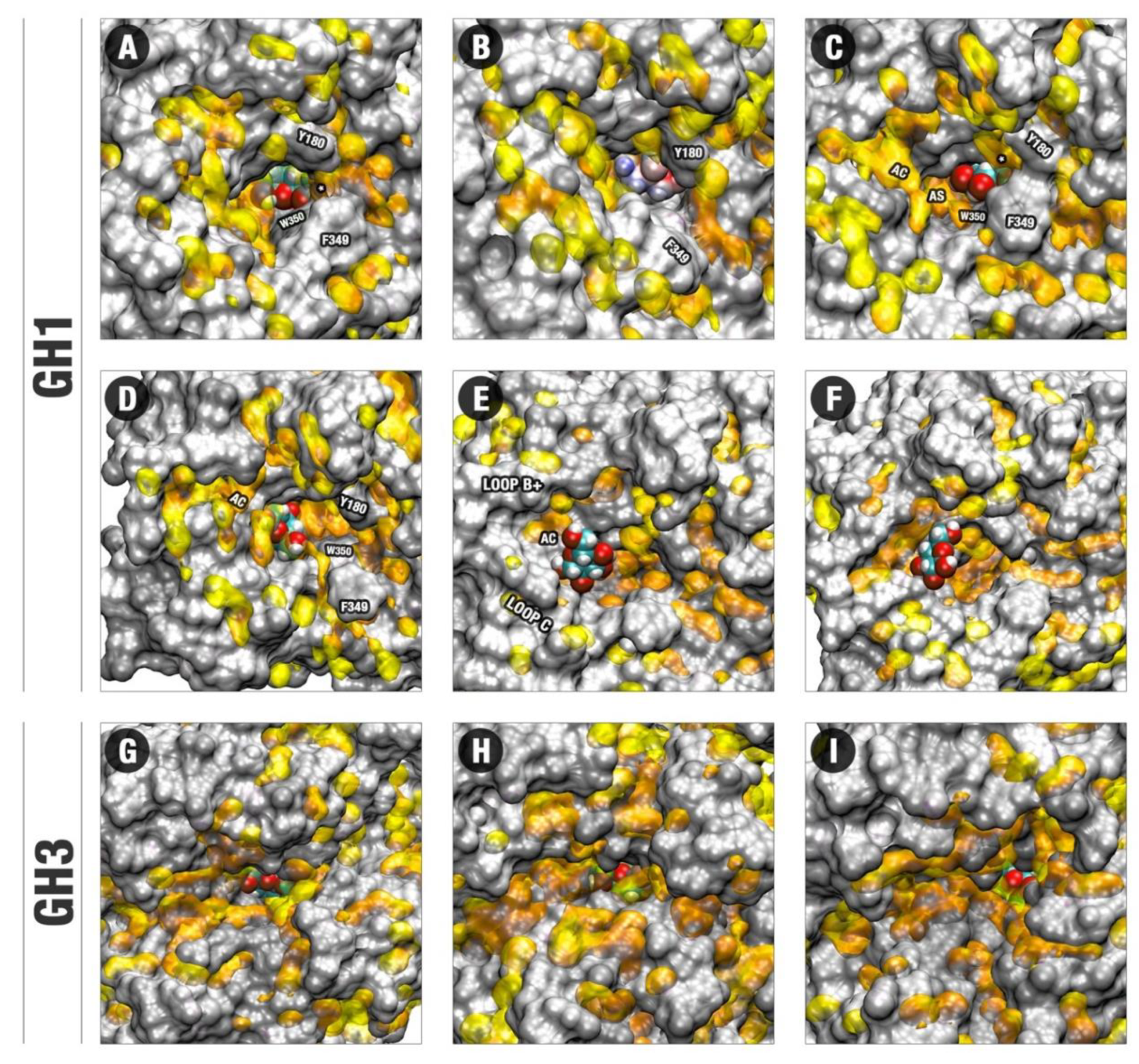 Molecules 24 03215 g005