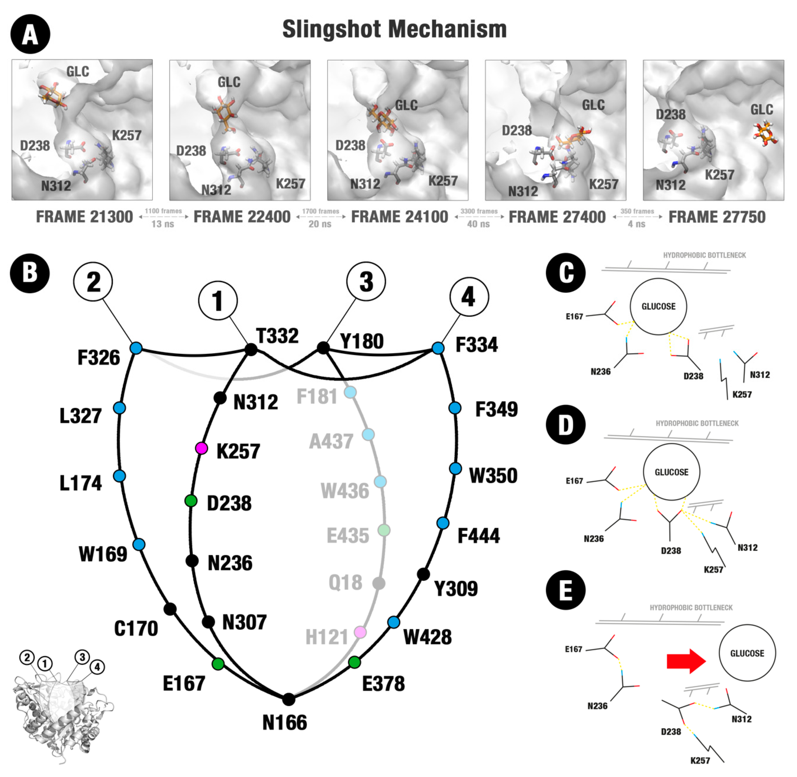 Molecules 24 03215 g006