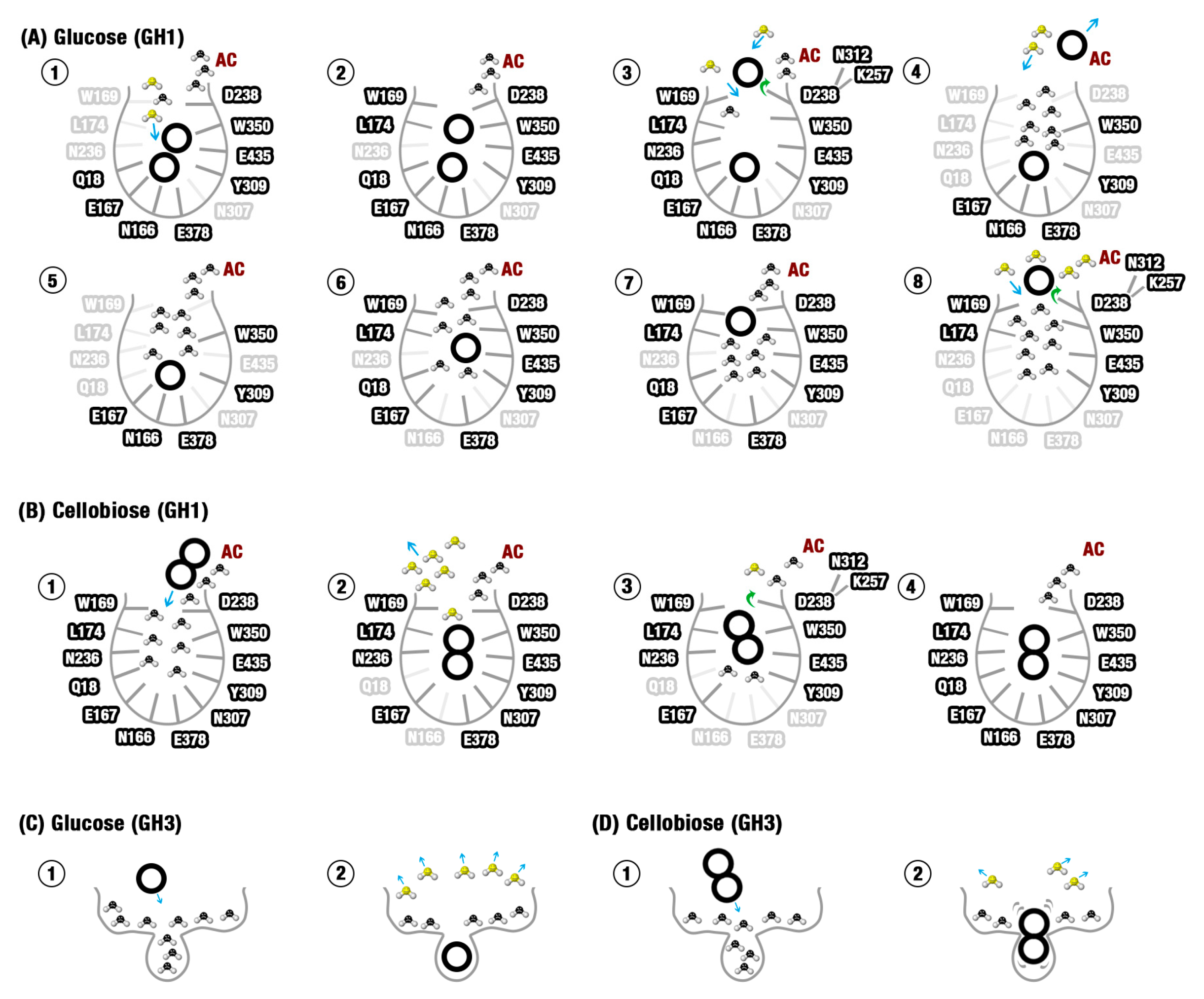 Molecules 24 03215 g007