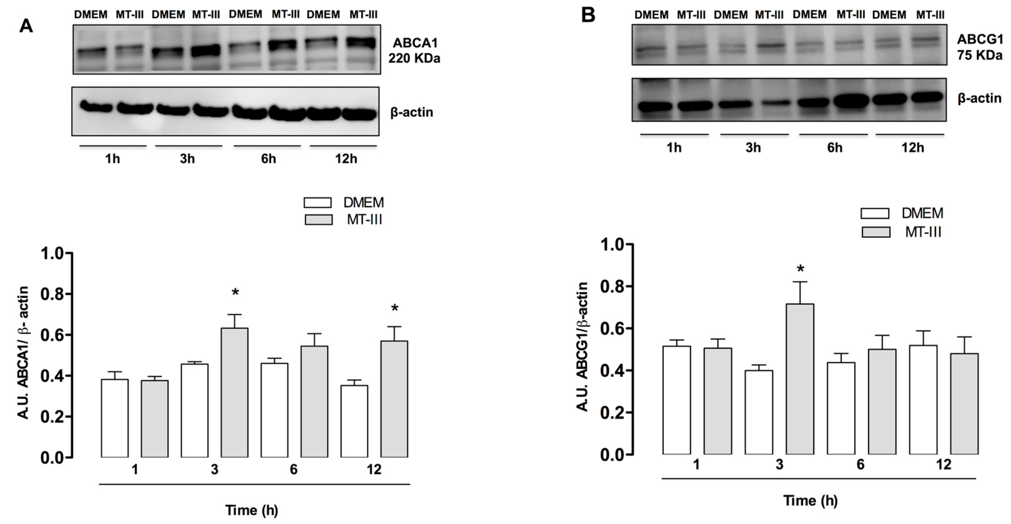 Molecules 24 03244 g005 Molecules 24 03244 g005