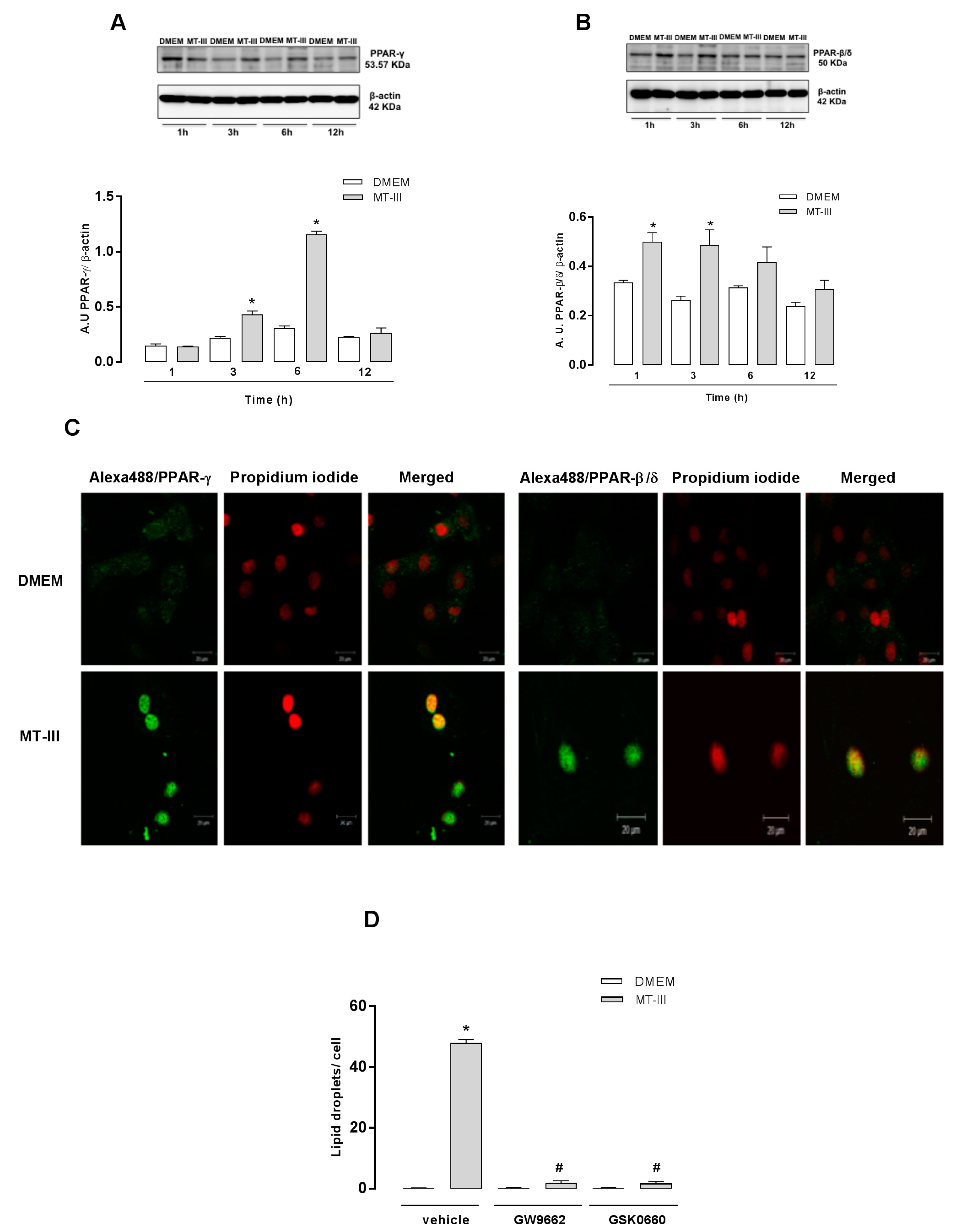 Molecules 24 03244 g006 Molecules 24 03244 g006