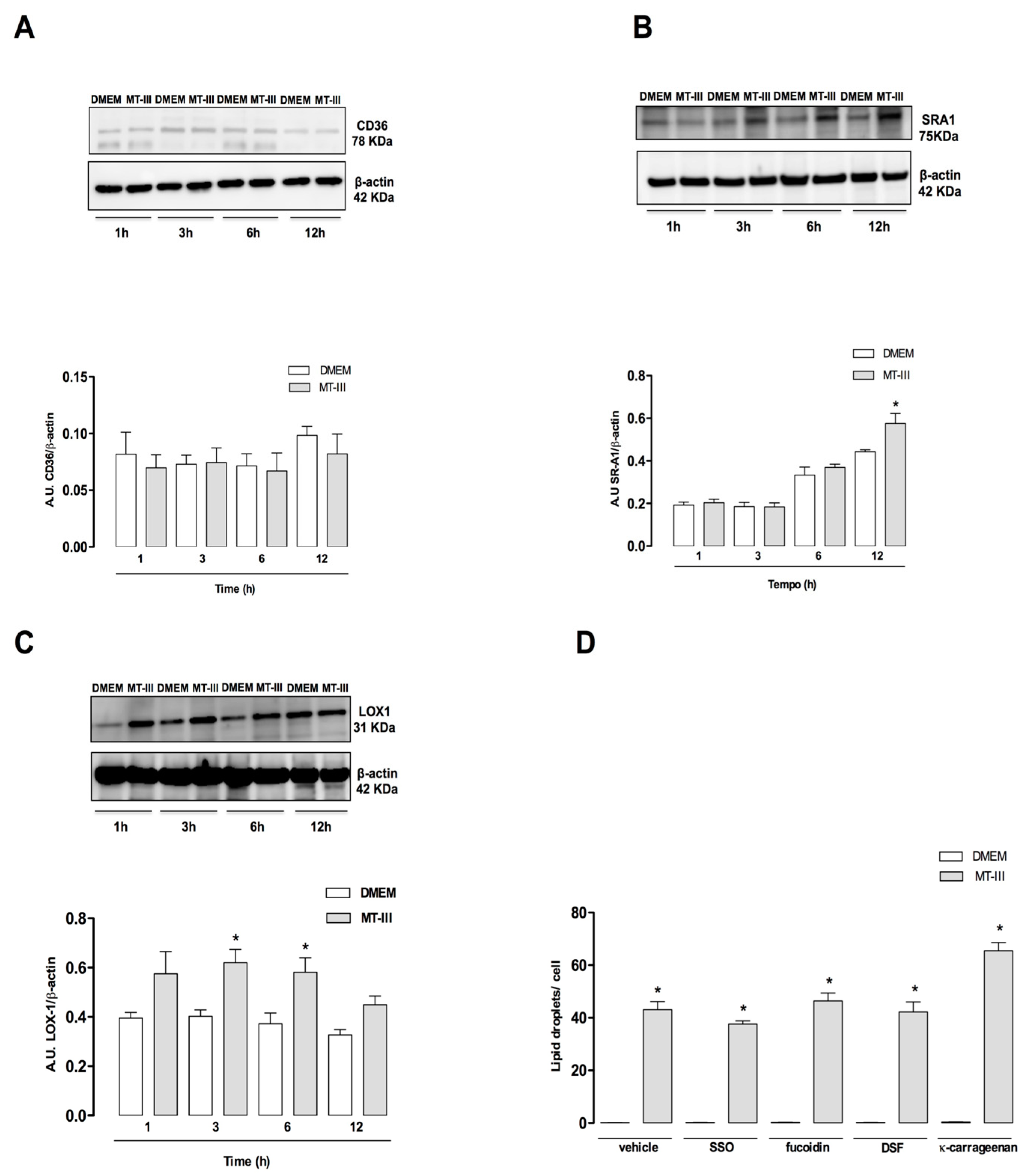 Molecules 24 03244 g007 Molecules 24 03244 g007