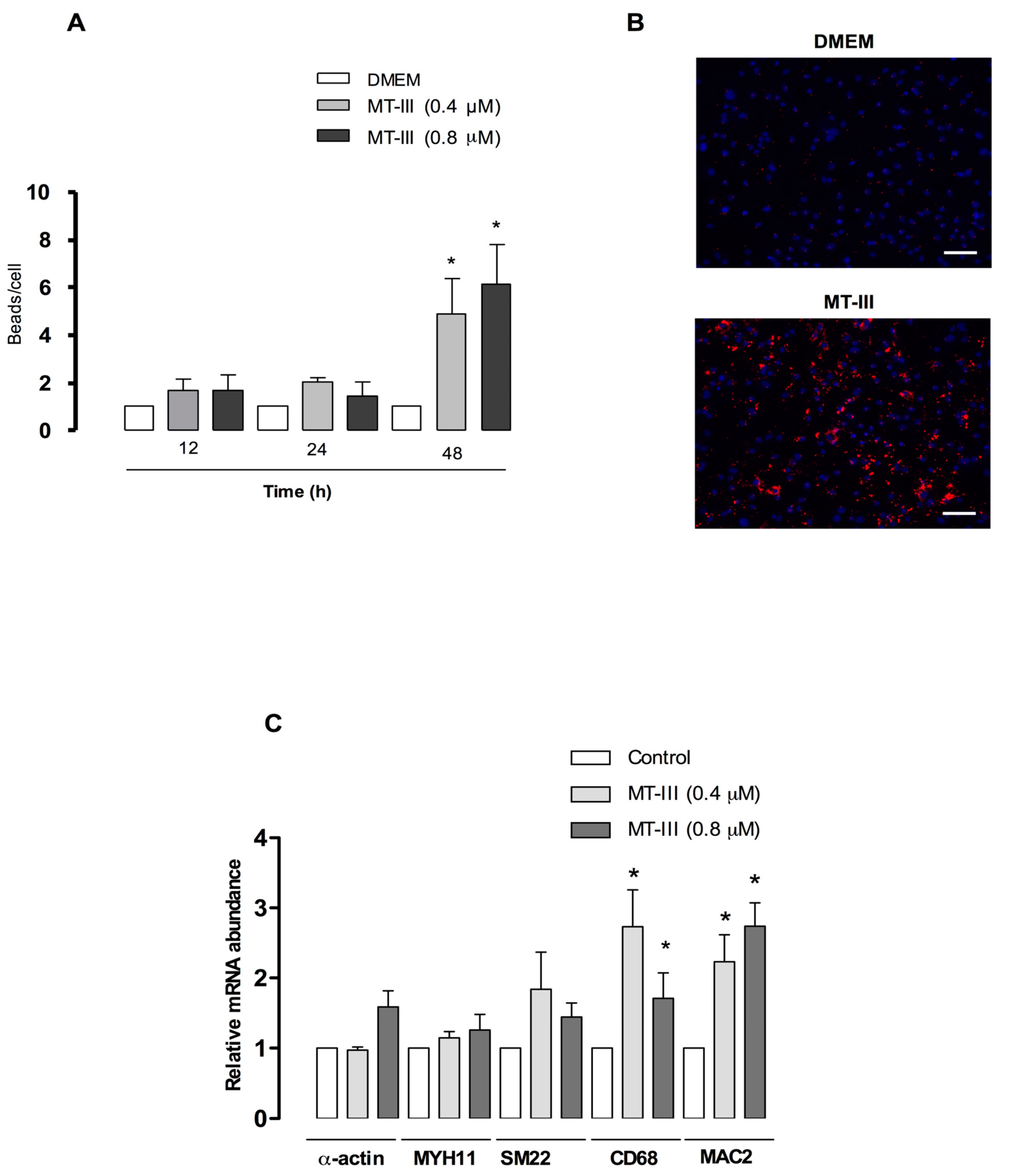 Molecules 24 03244 g010 Molecules 24 03244 g010