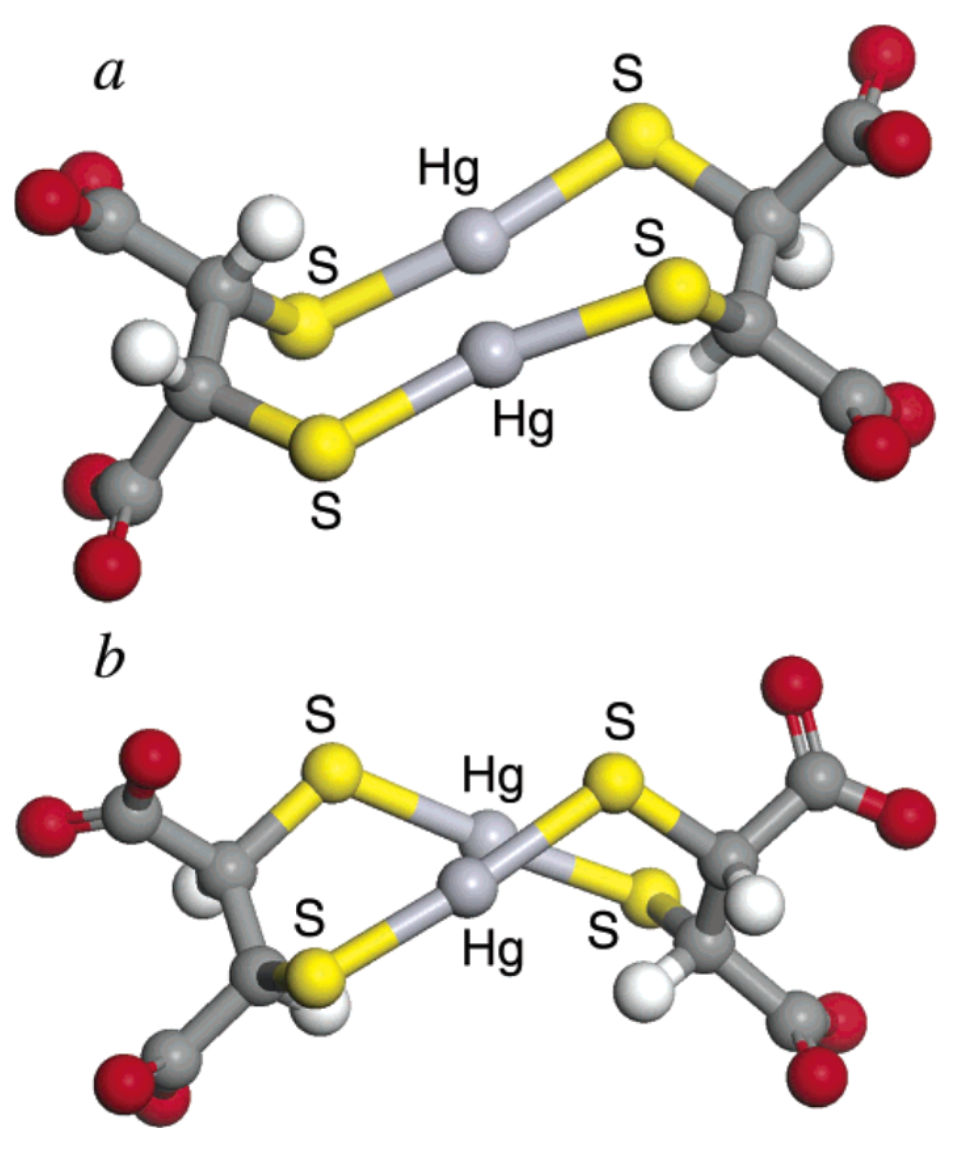 Molecules 24 03247 g009 Molecules 24 03247 g009