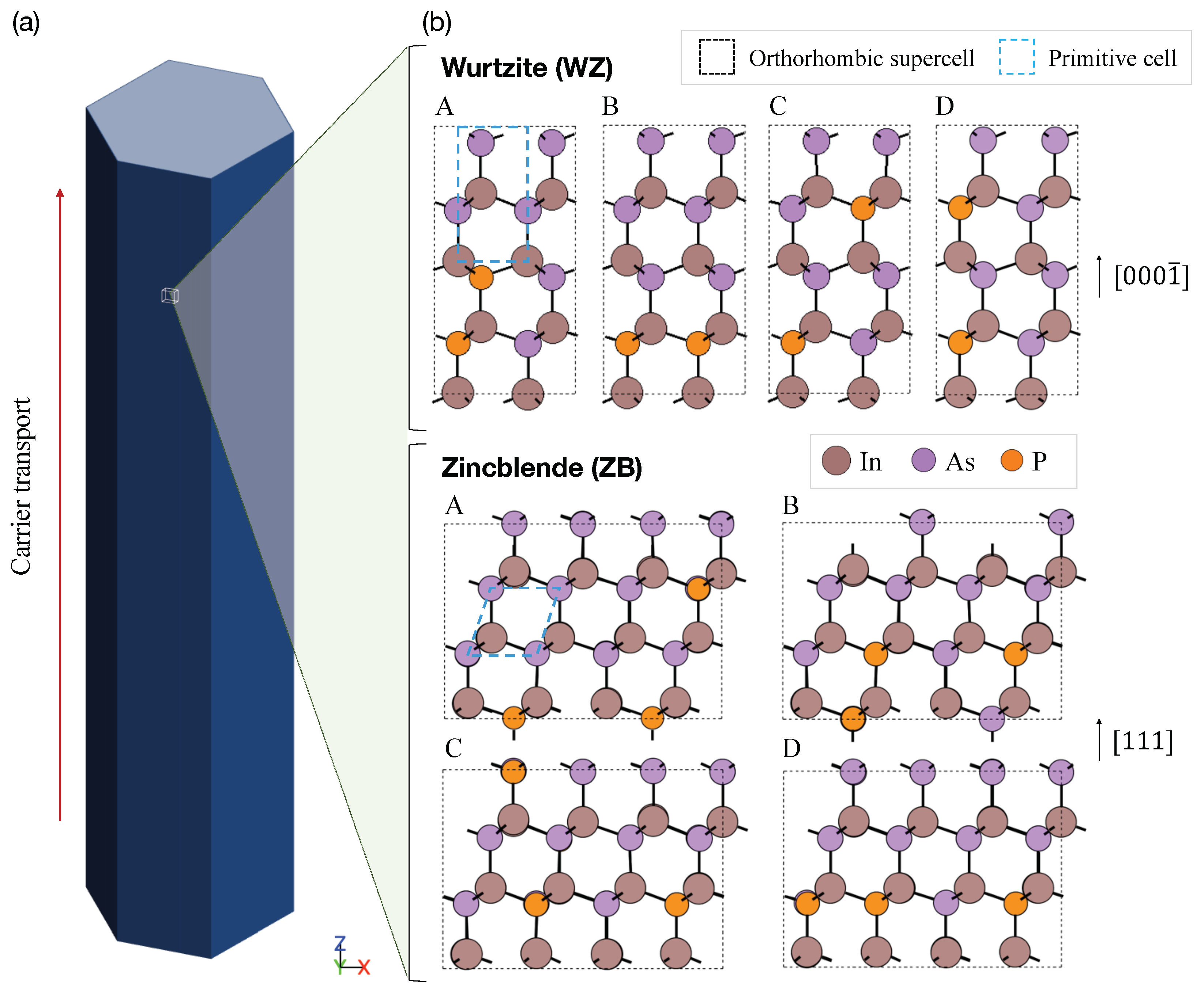 Molecules 24 03249 g001