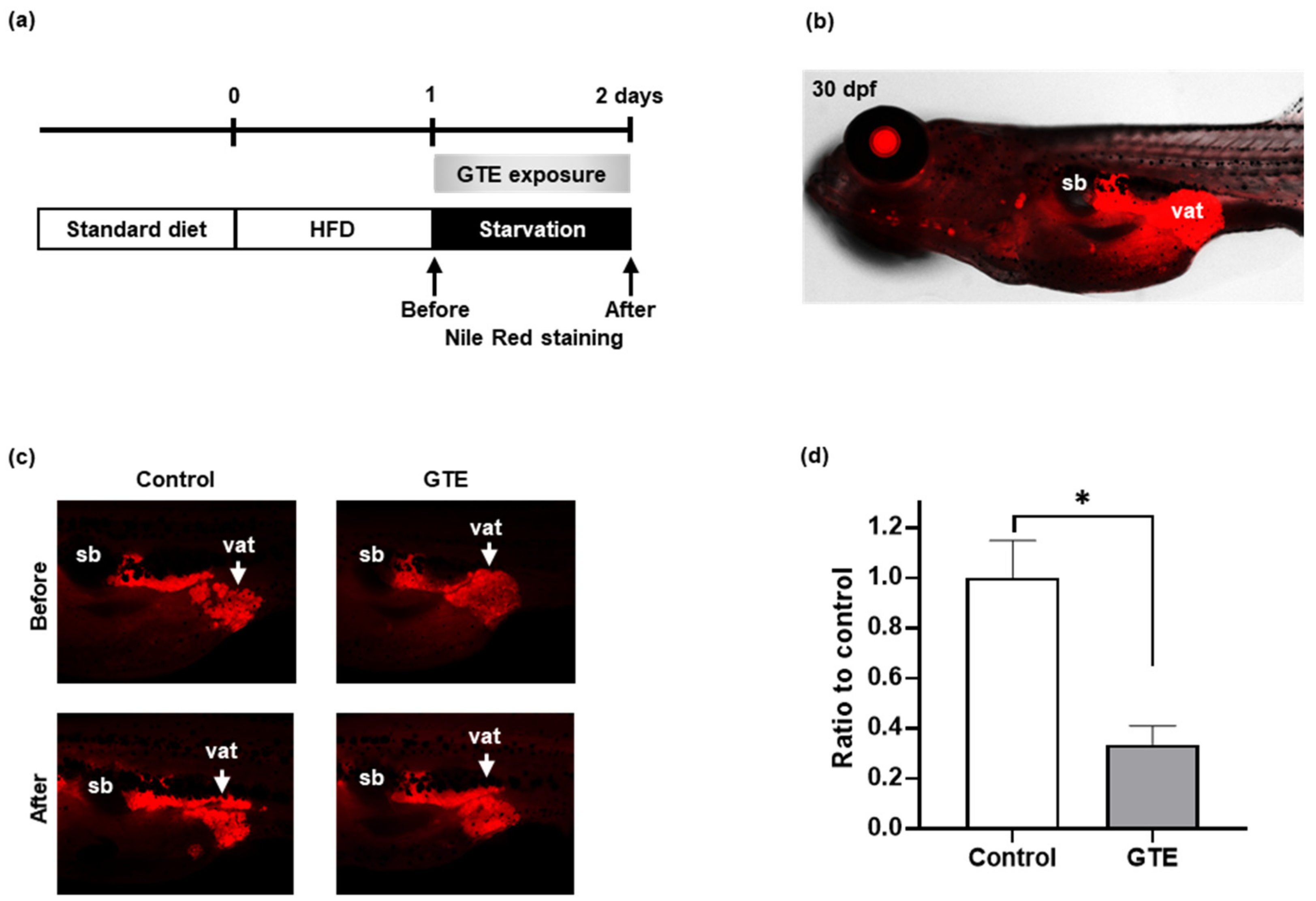 Molecules 24 03256 g001