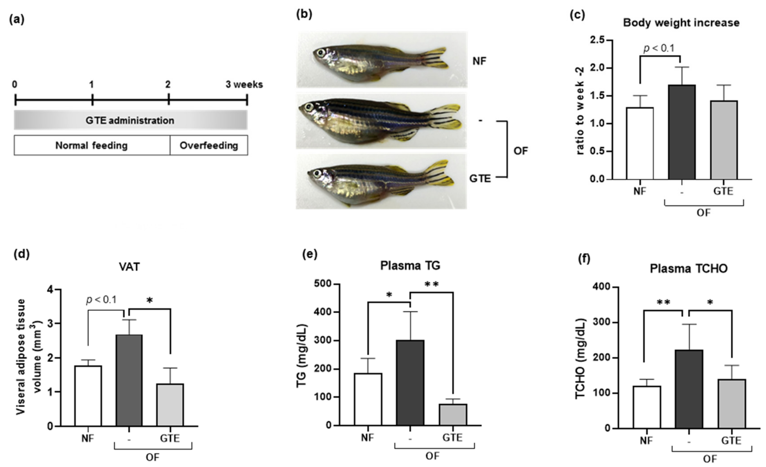 Molecules 24 03256 g002