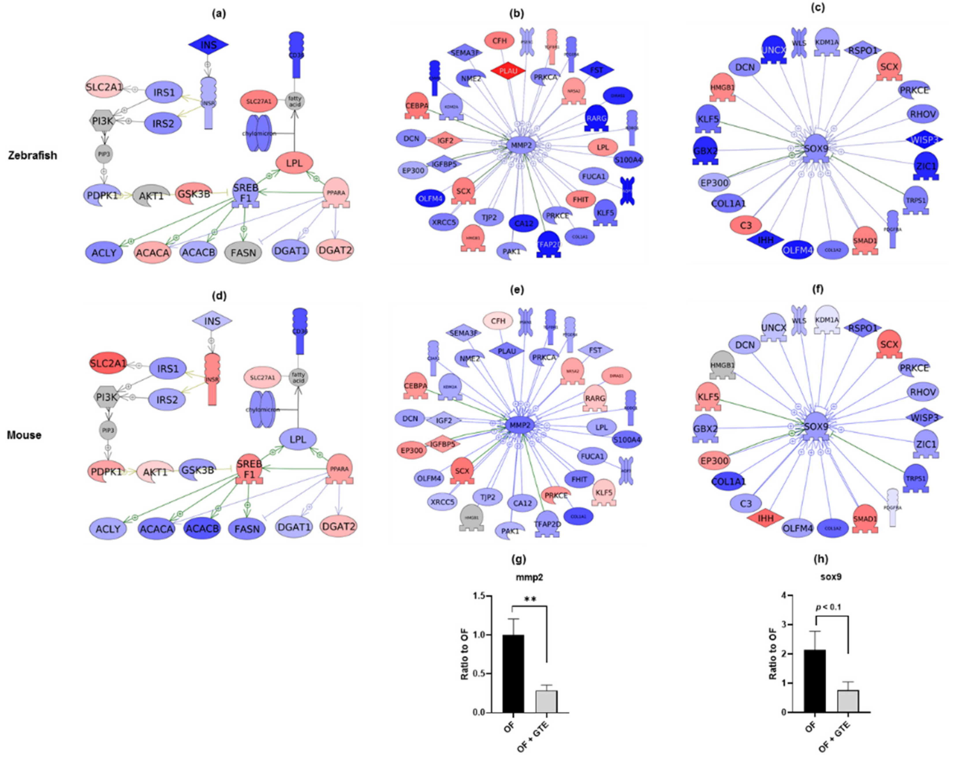 Molecules 24 03256 g004