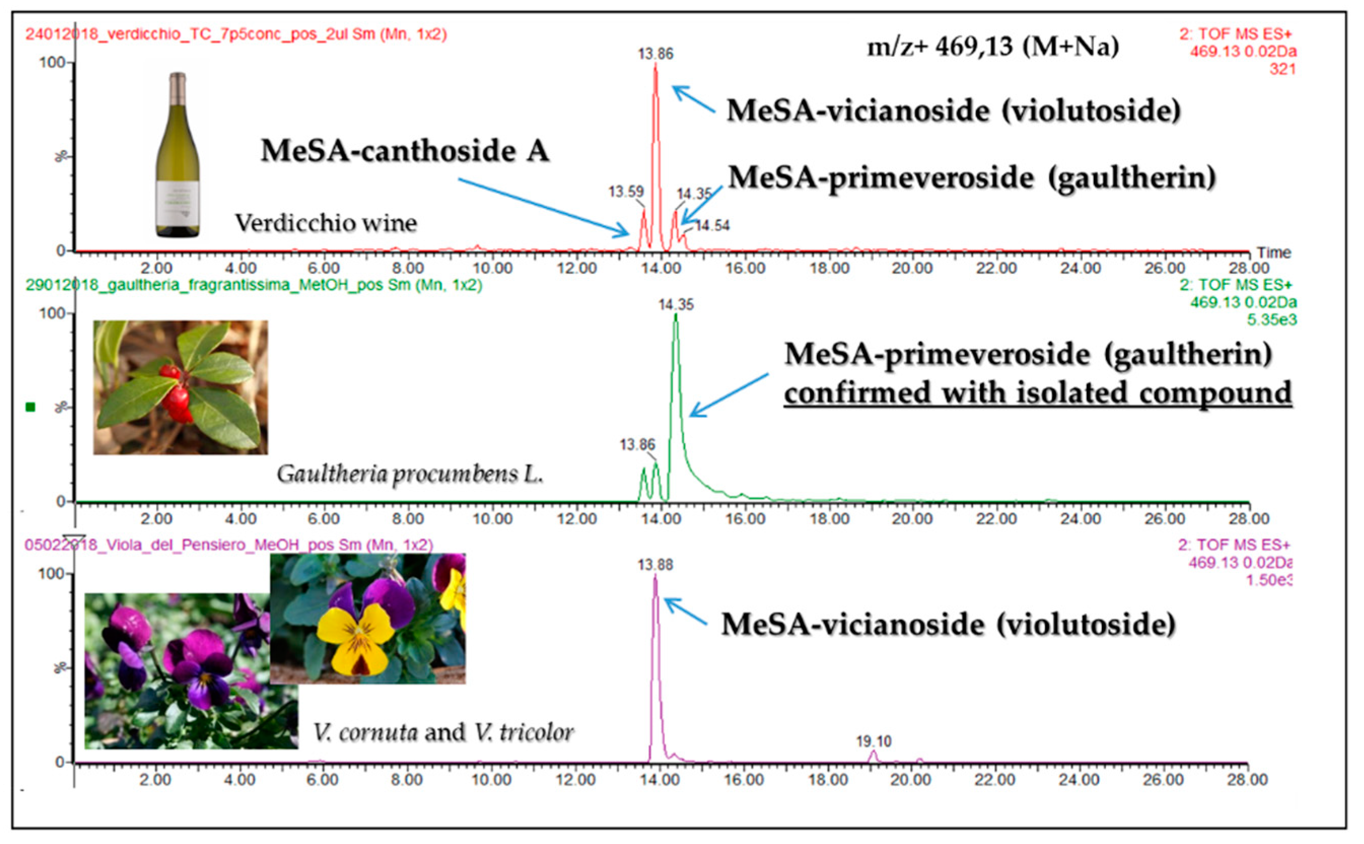 Molecules 24 03260 g001