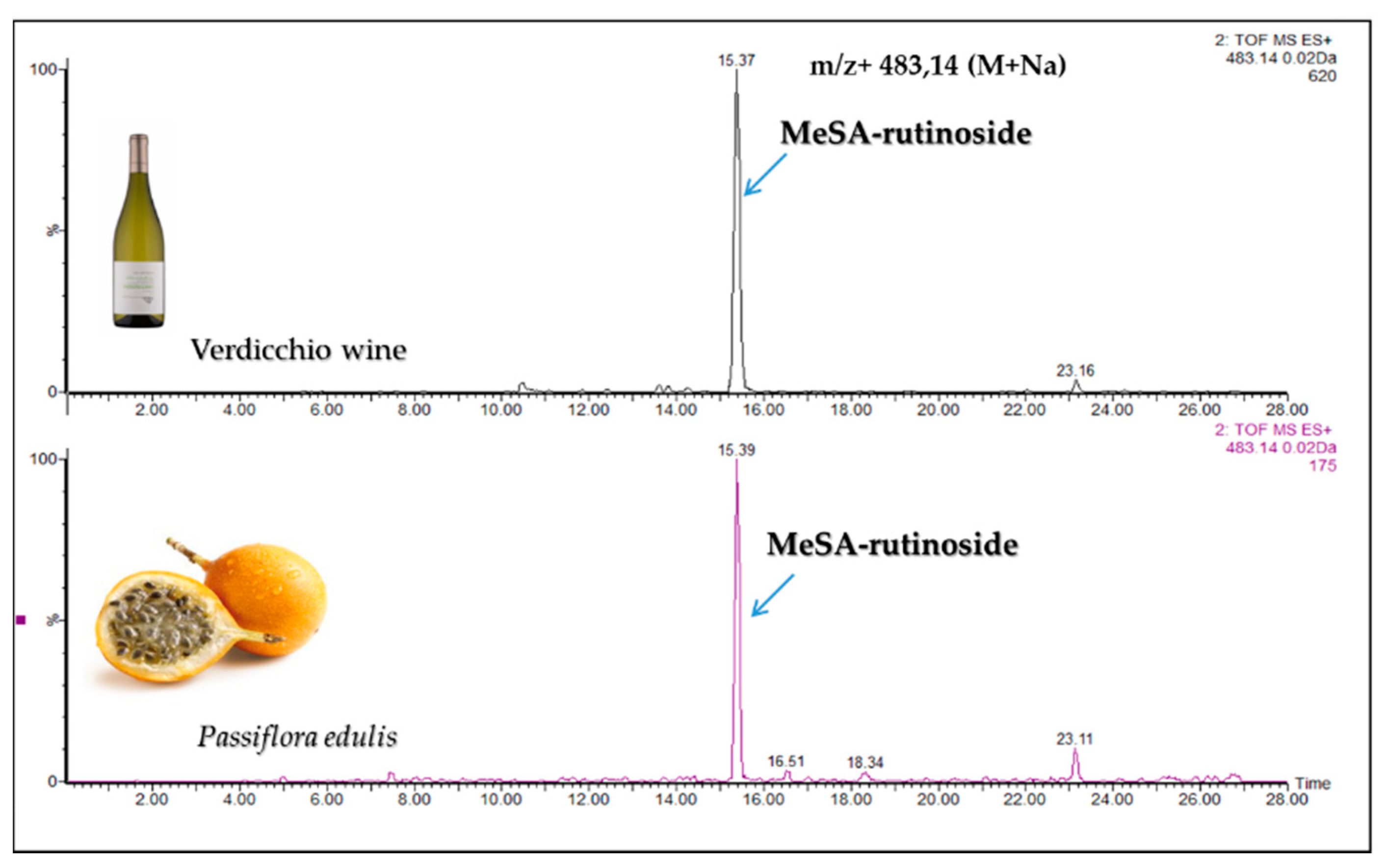 Molecules 24 03260 g002