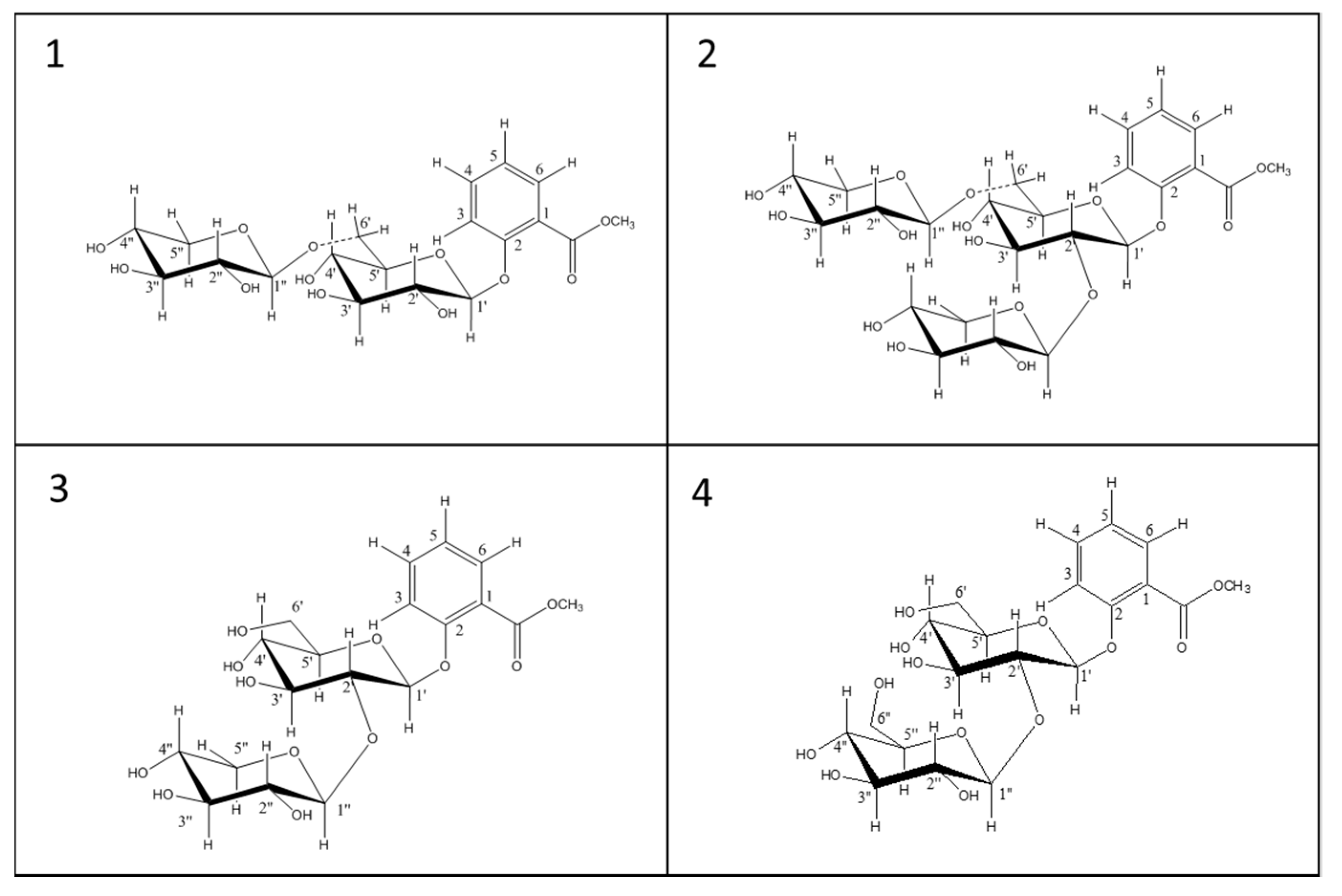 Molecules 24 03260 g004