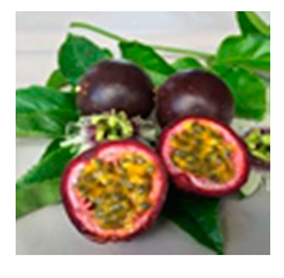 Molecules 24 03260 i004