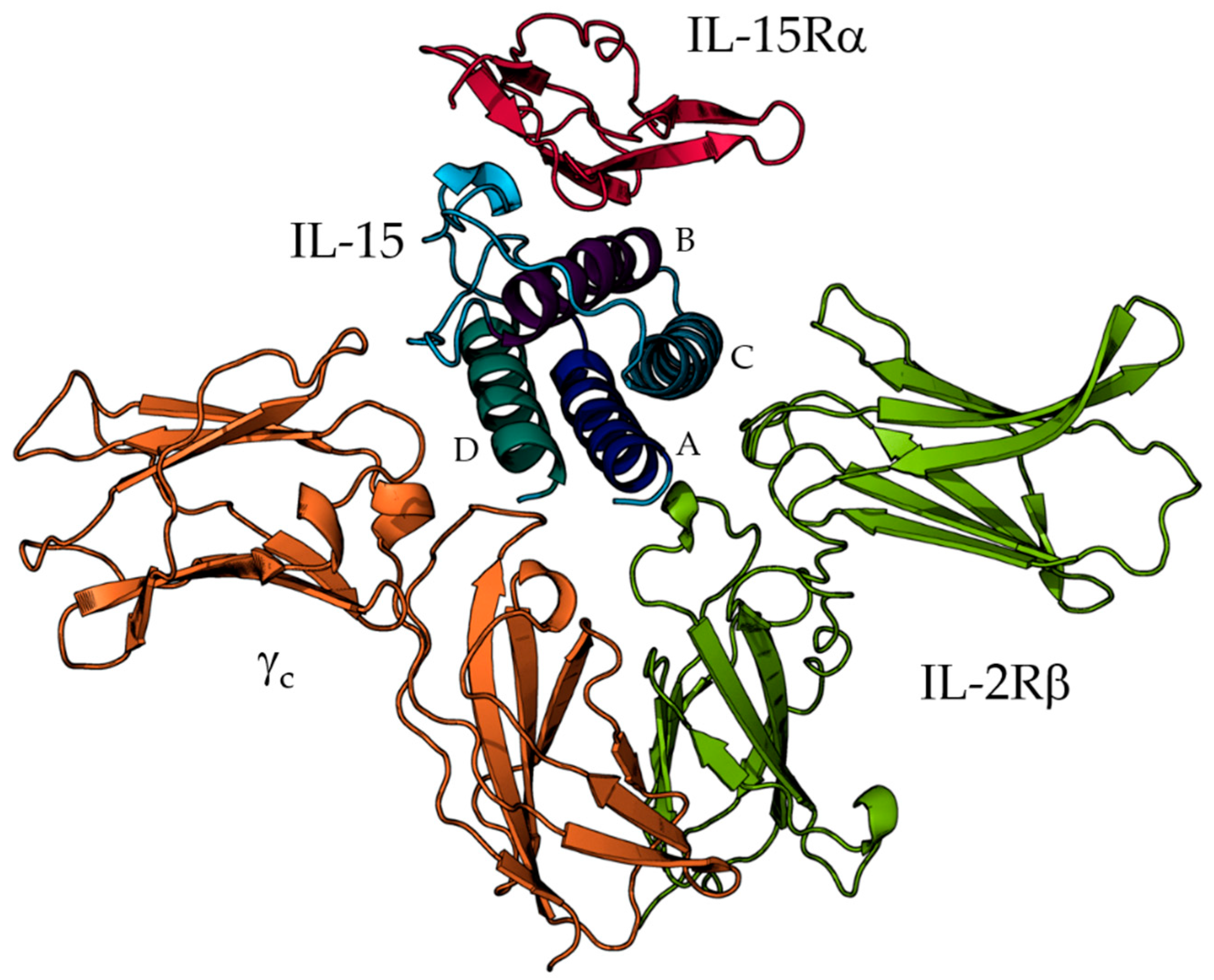 Molecules 24 03261 g001