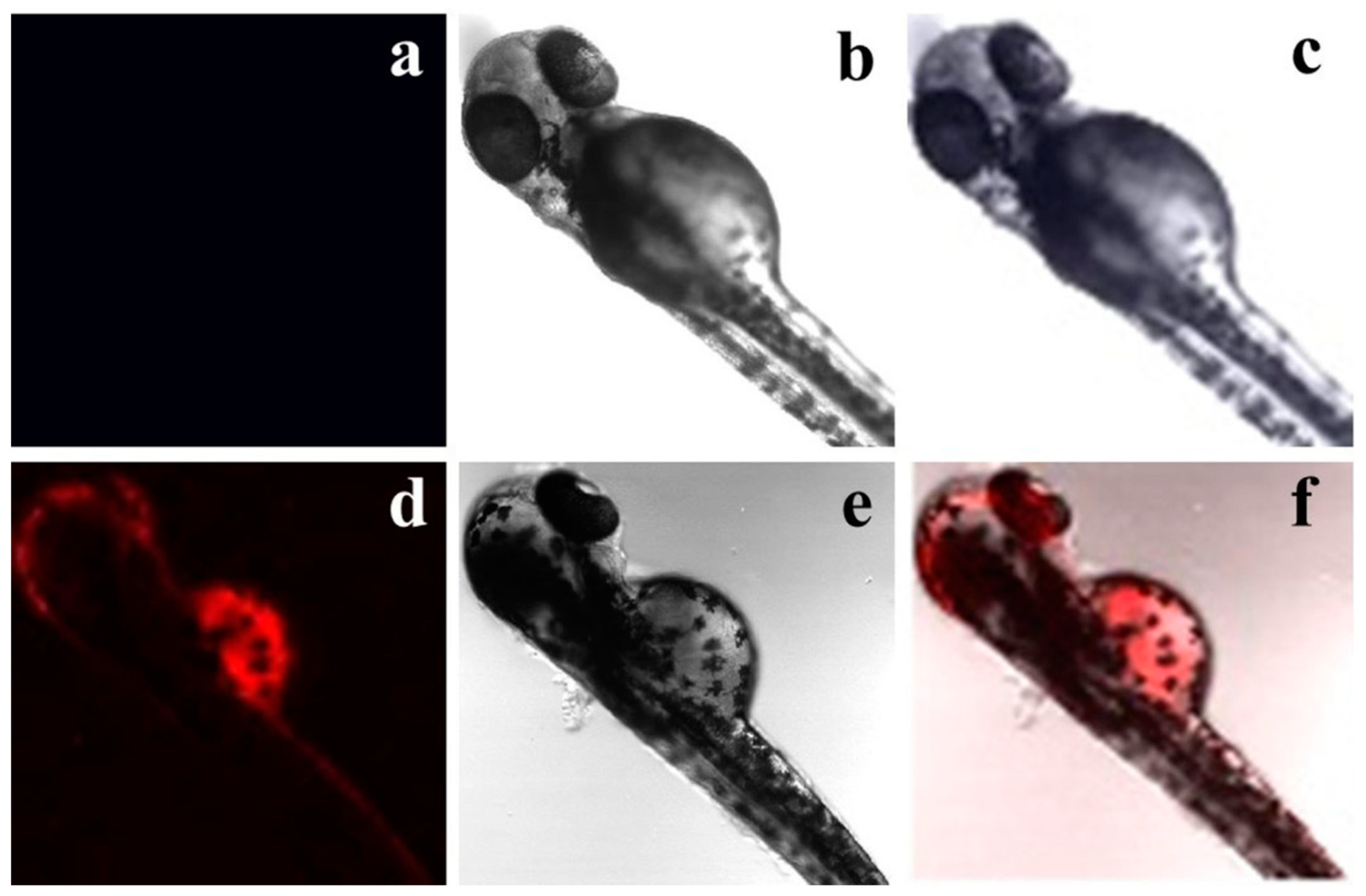 Molecules 24 03267 g002