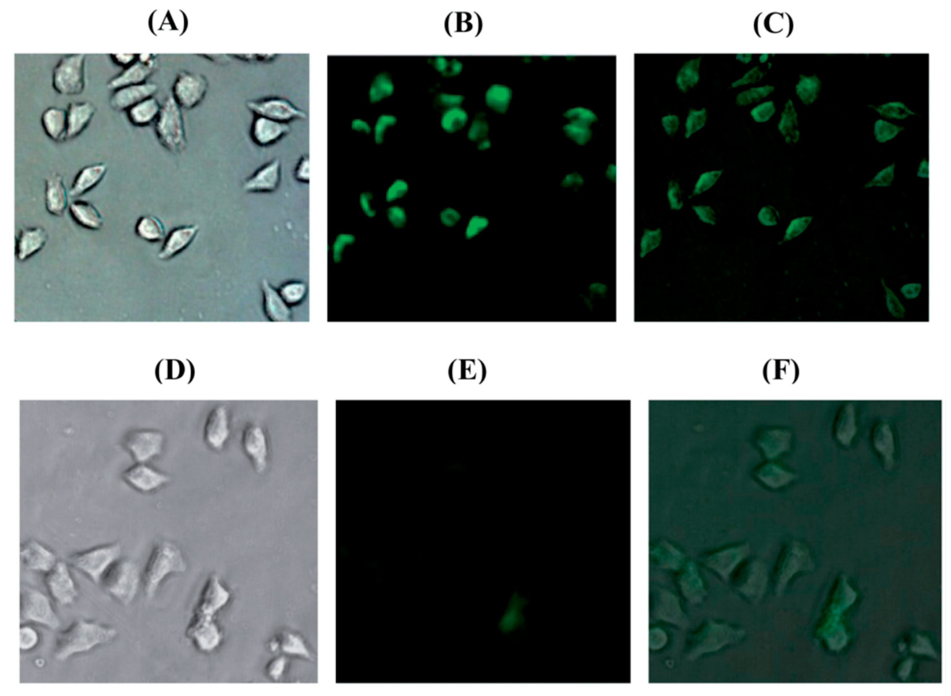 Molecules 24 03267 g004