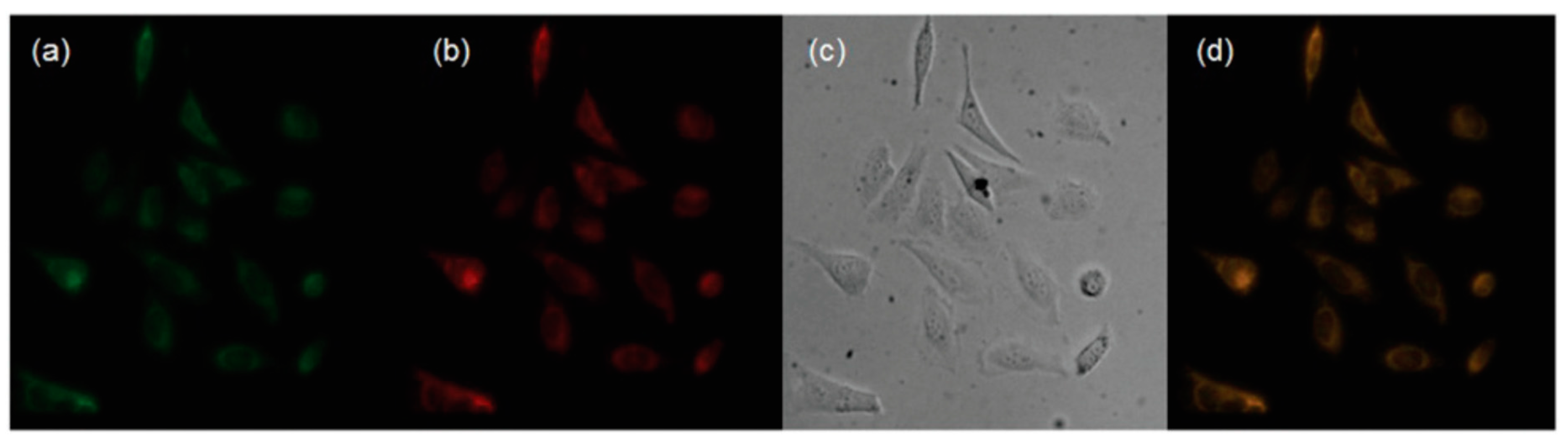 Molecules 24 03267 g006