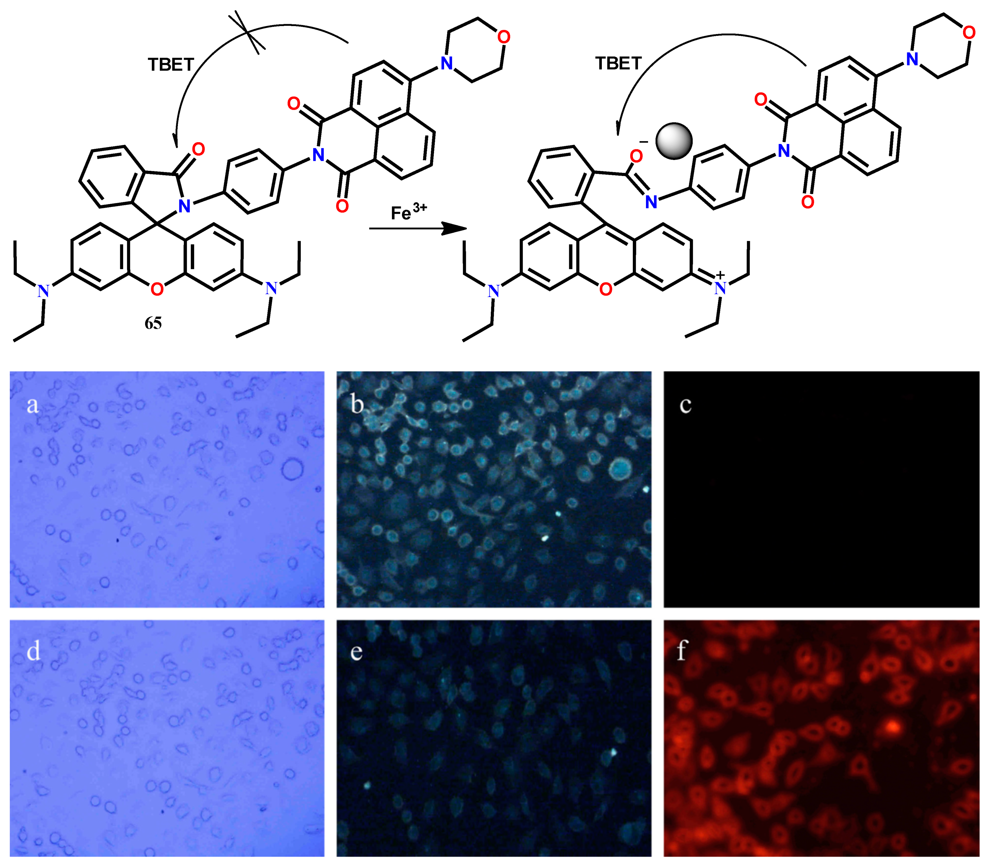 Molecules 24 03267 g007
