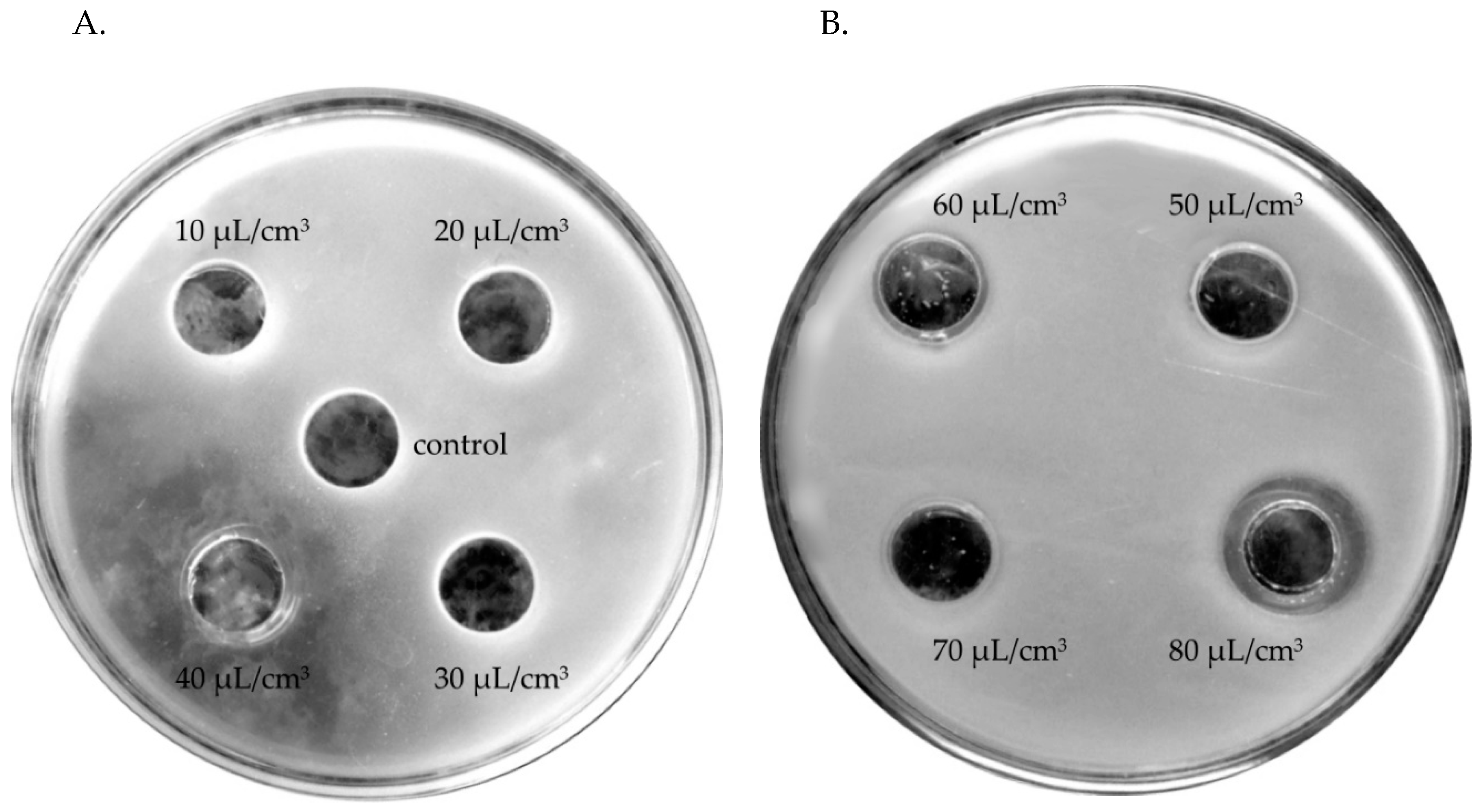 Molecules 24 03270 g003