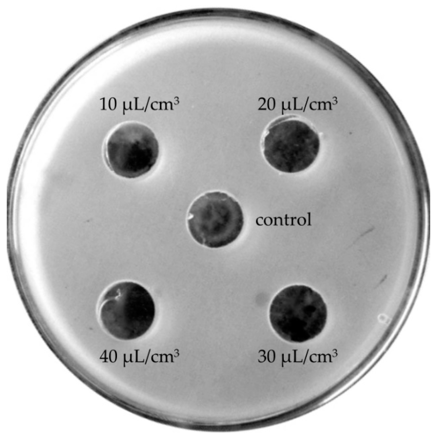 Molecules 24 03270 g004