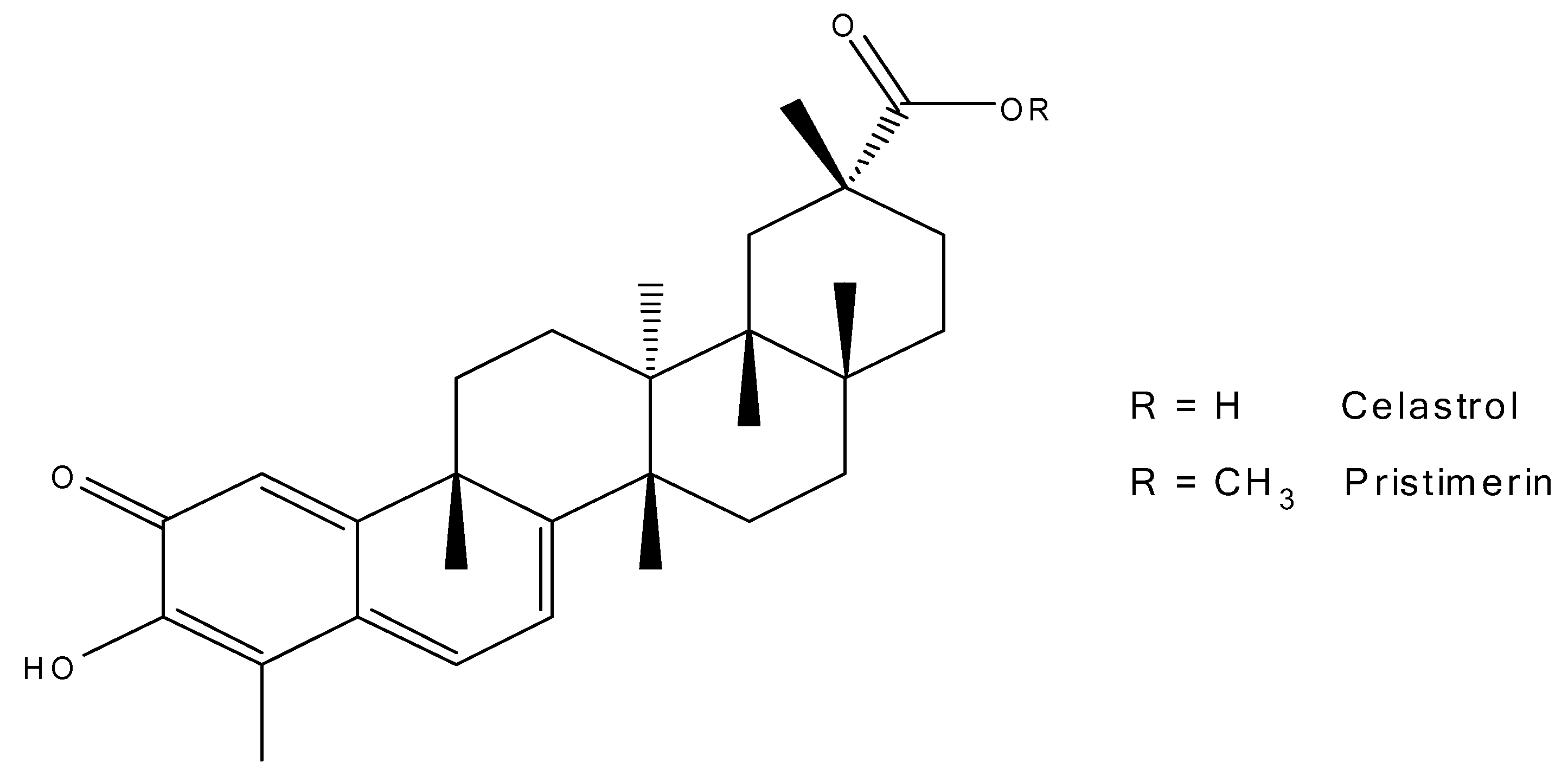 Molecules 24 03271 g001