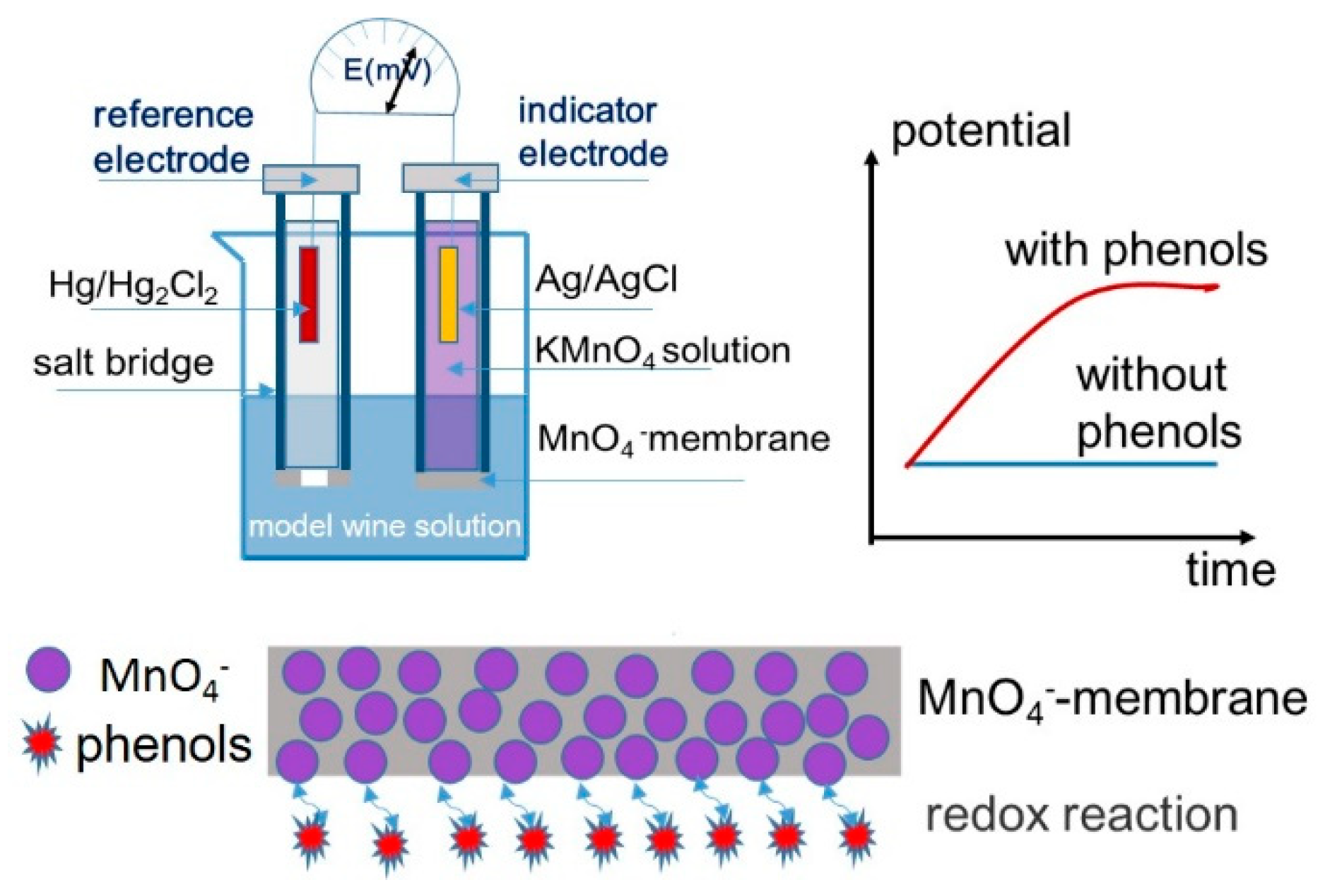 Molecules 24 03279 sch001