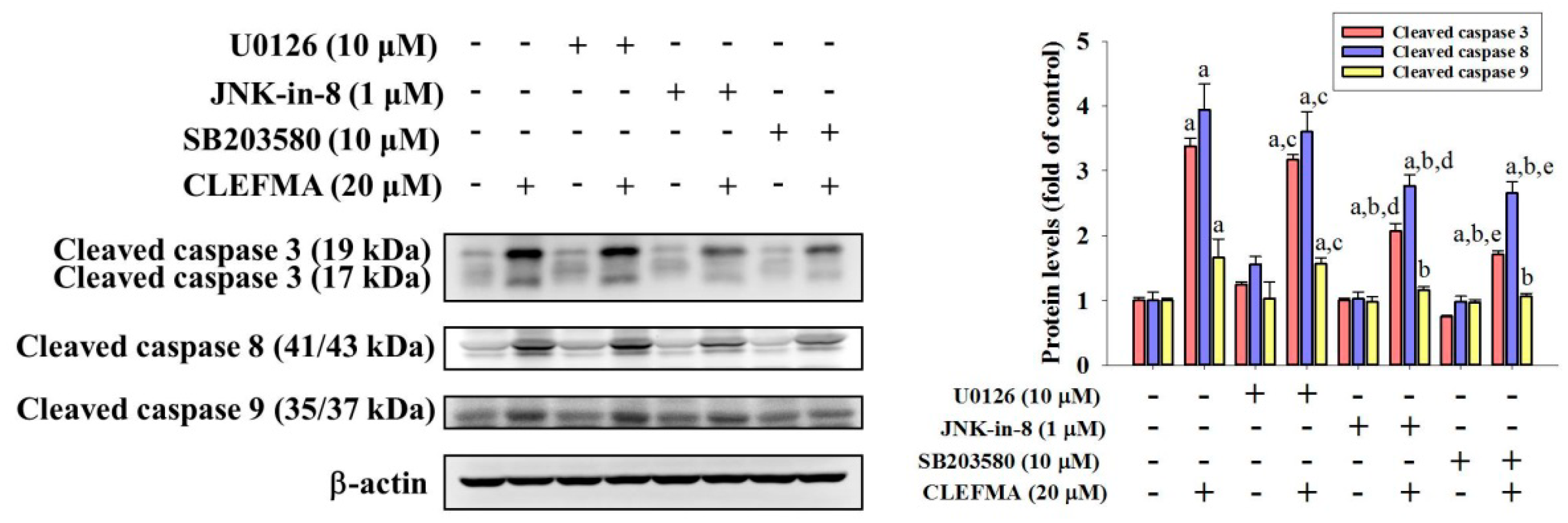Molecules 24 03280 g006